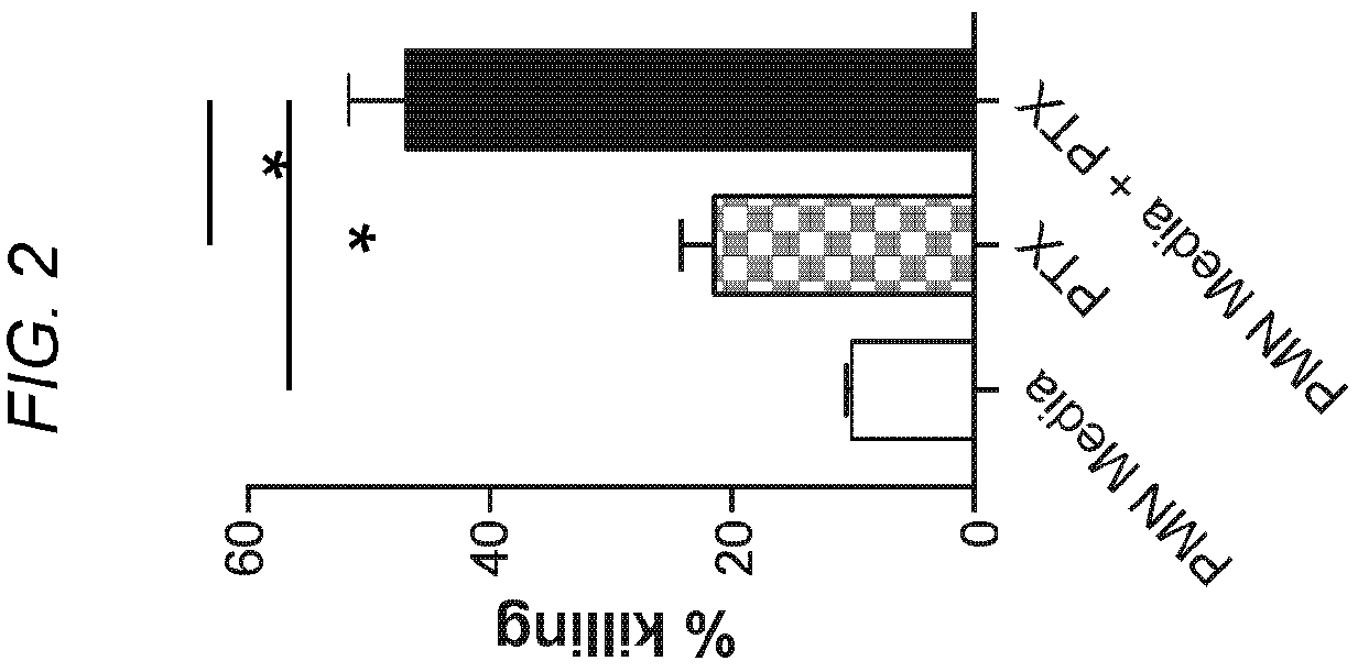 Patent US12564623 Figure 2 – Methods and compositions for treating cancer