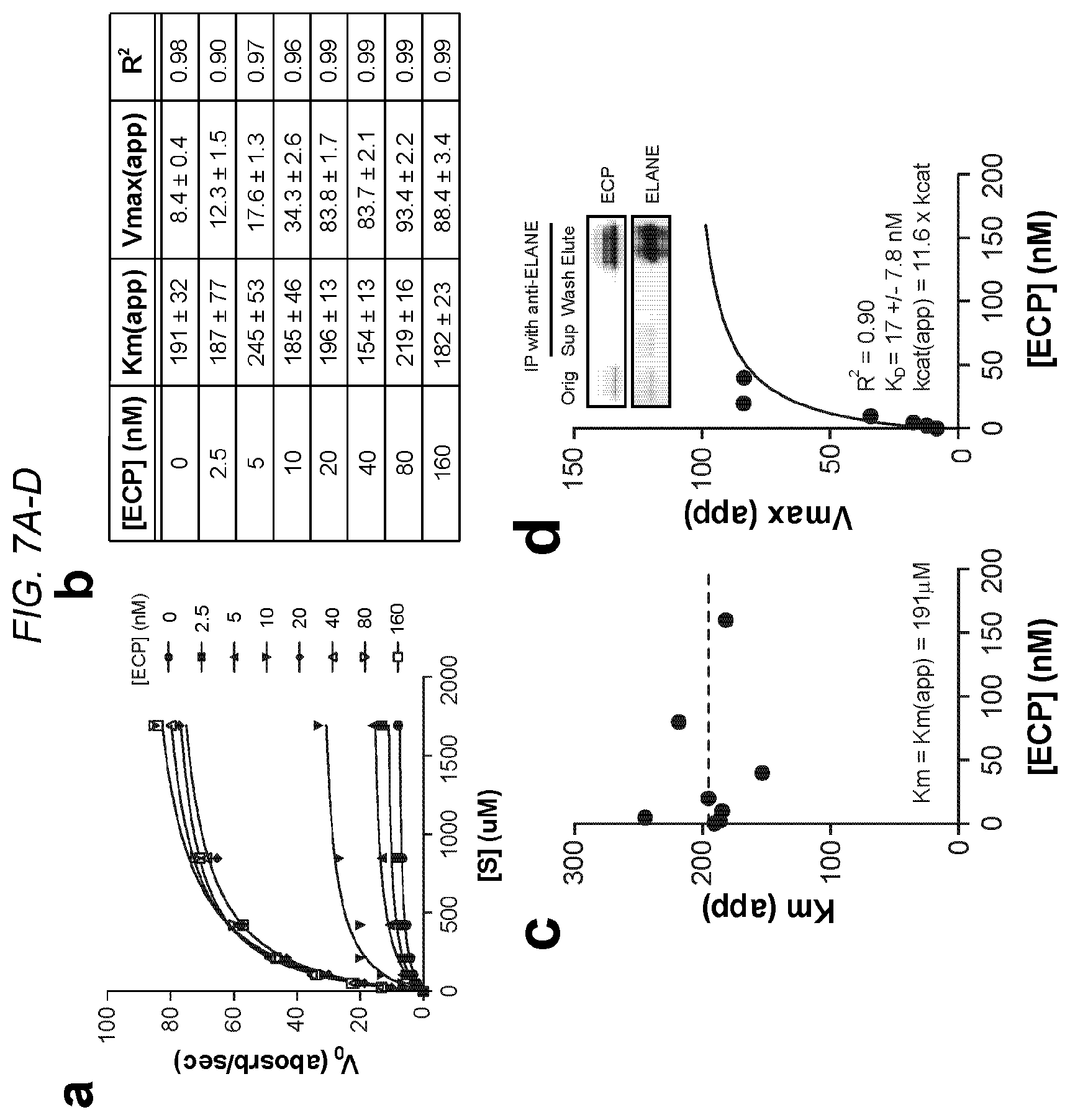 Patent US12564623 Figure 7 – Methods and compositions for treating cancer