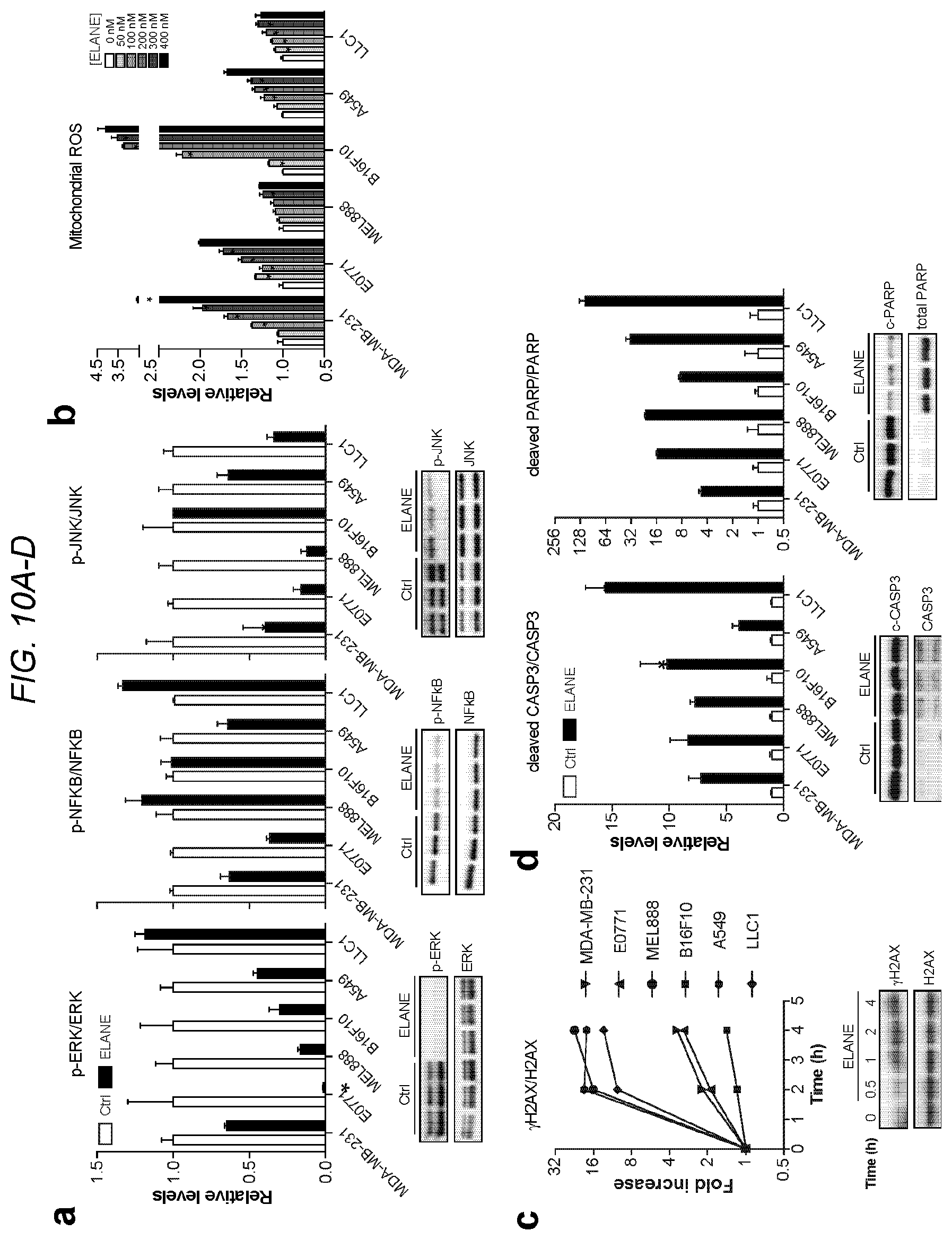 Patent US12564623 Figure 10 – Methods and compositions for treating cancer