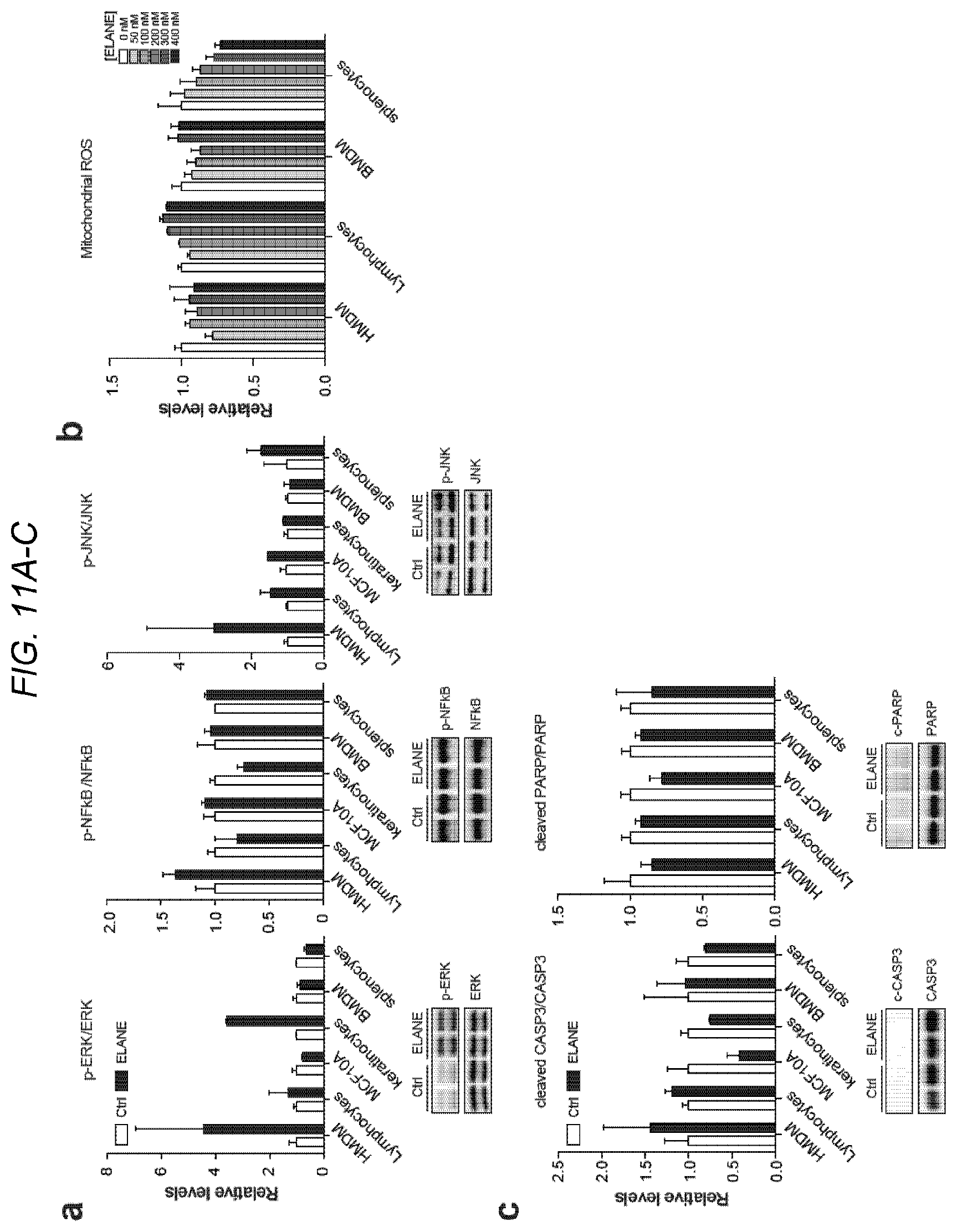 Patent US12564623 Figure 11 – Methods and compositions for treating cancer