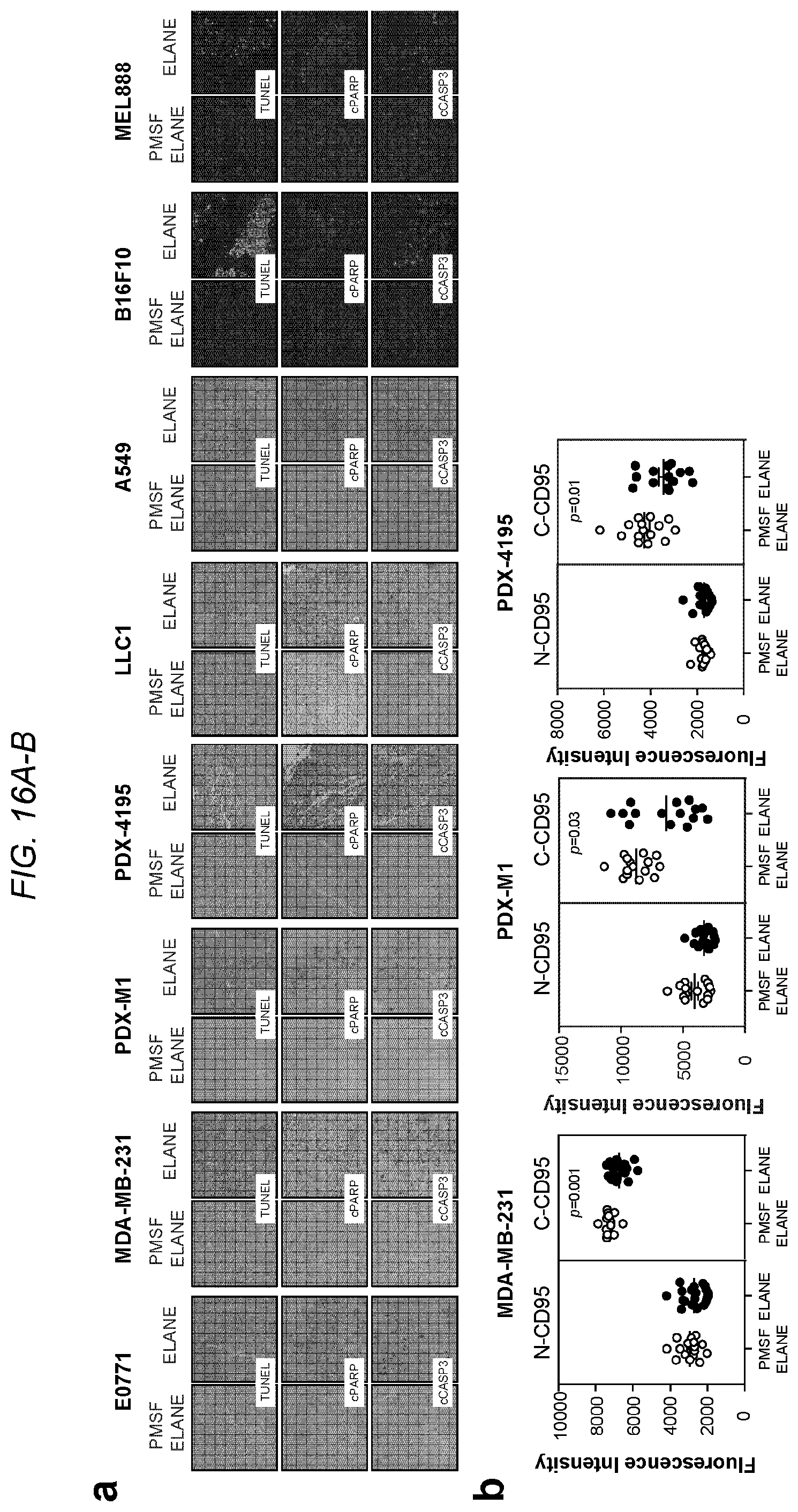 Patent US12564623 Figure 16 – Methods and compositions for treating cancer
