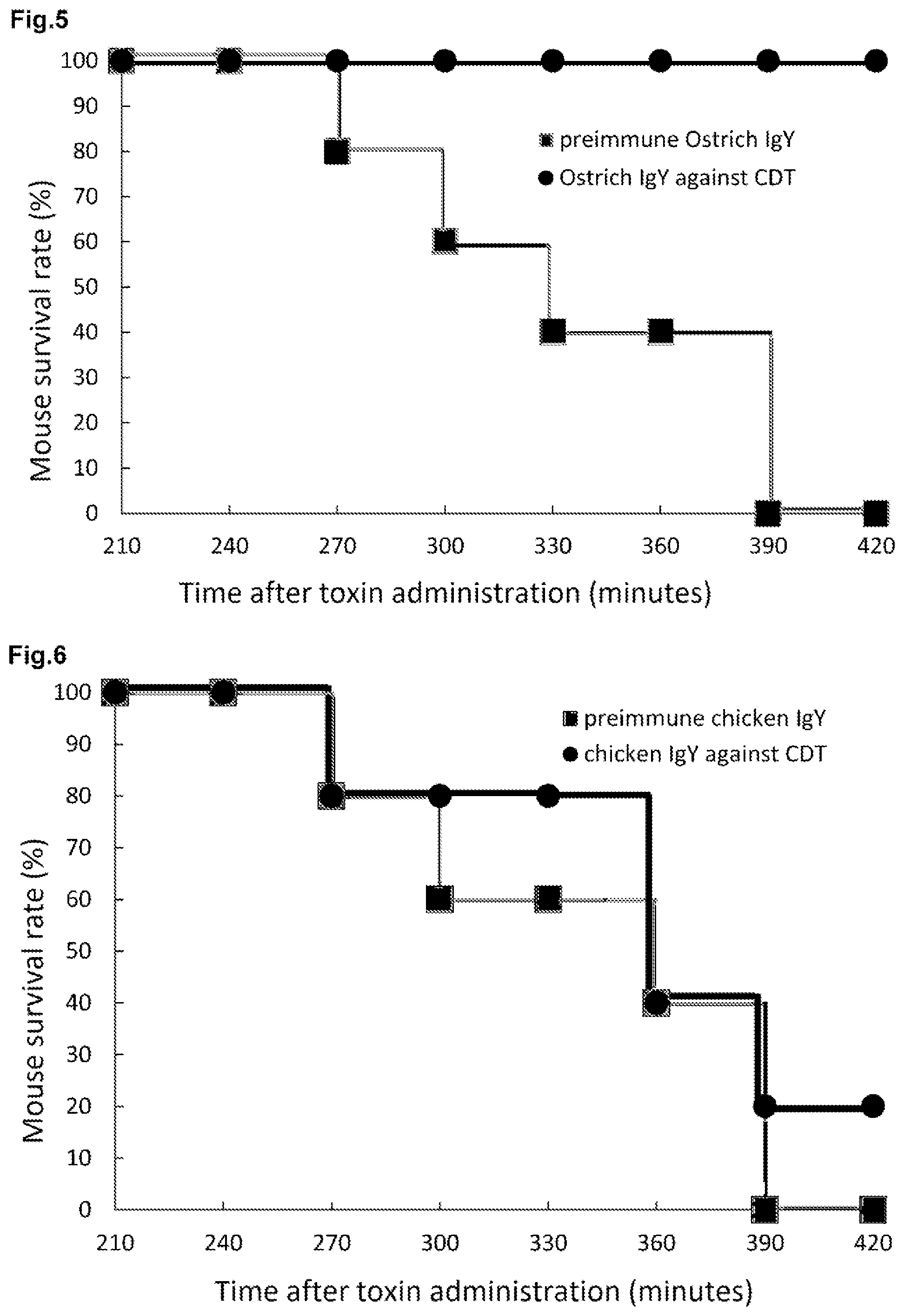 Patent US12564624 Figure 3 – Ostrich antibody for bacterial infectious diseases