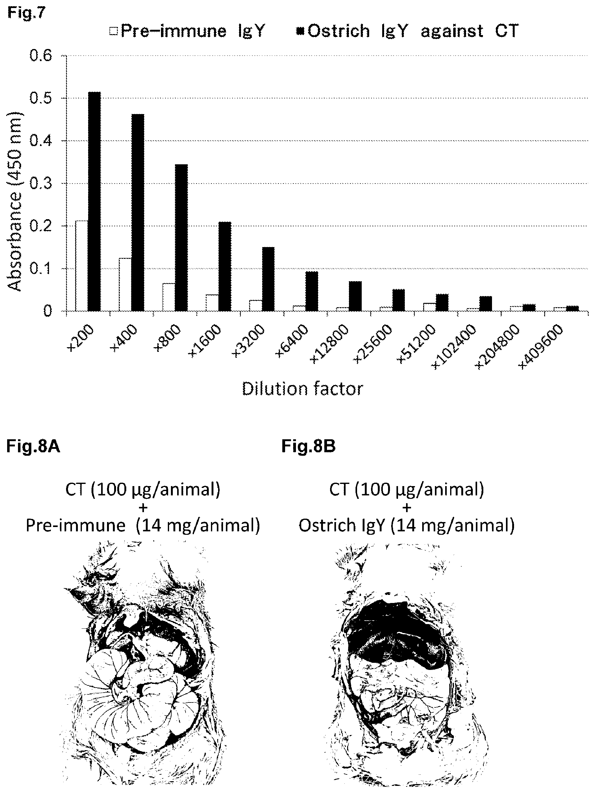 Patent US12564624 Figure 4 – Ostrich antibody for bacterial infectious diseases