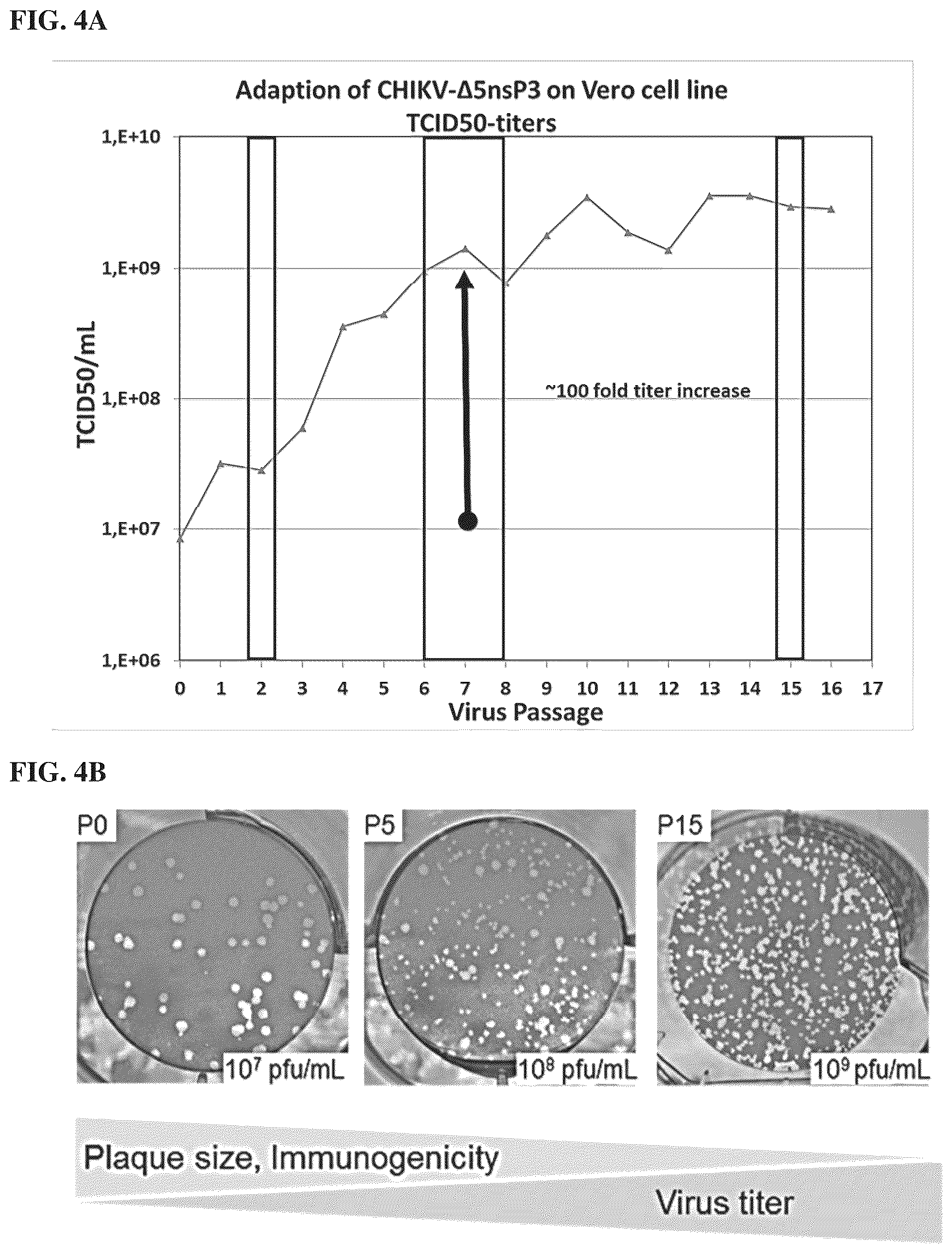 Patent US12564625 Figure 5 – Method of producing pharmaceutical compositions comprising immunogenic chikungunya virus CHIKV-Δ5nsP3
