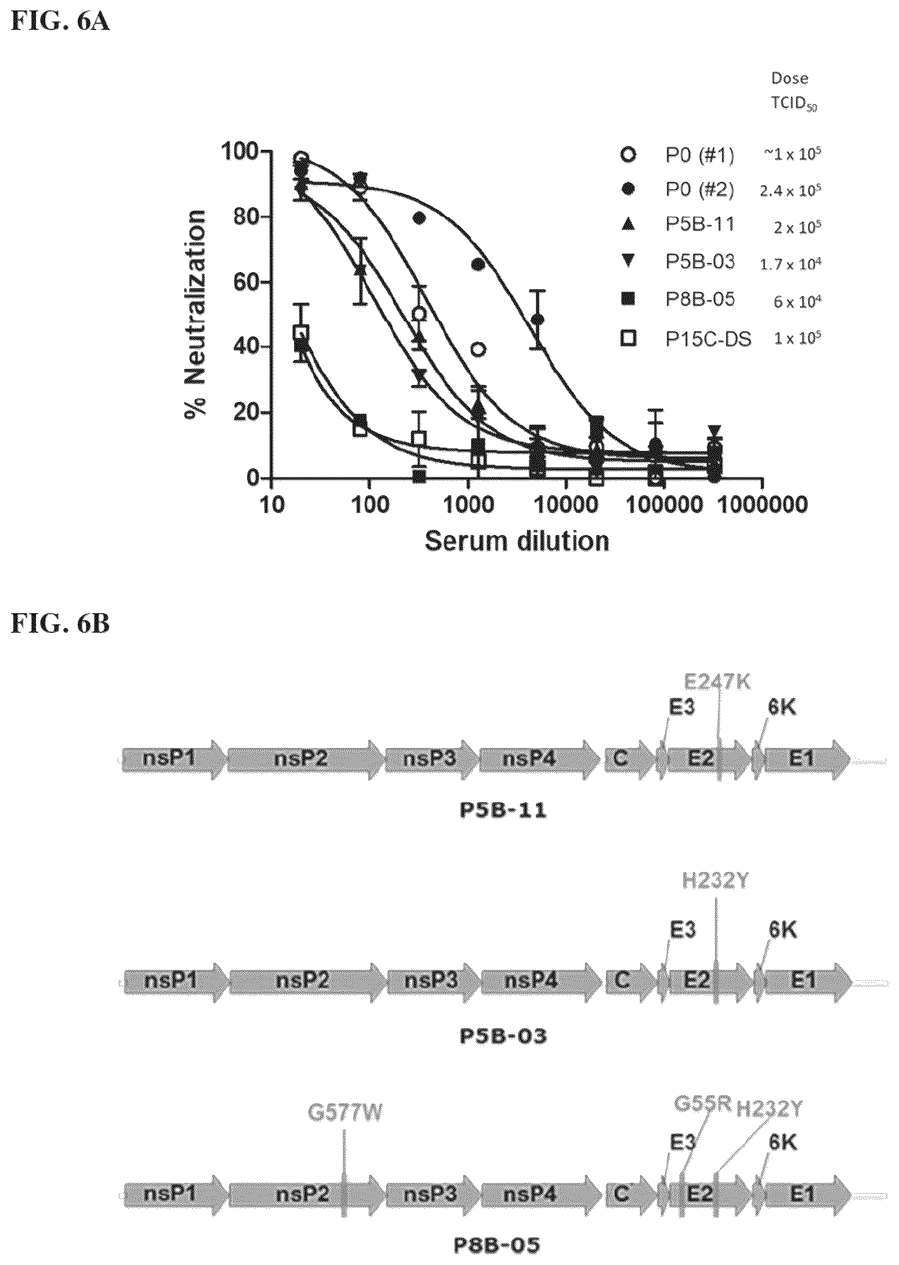 Patent US12564625 Figure 8 – Method of producing pharmaceutical compositions comprising immunogenic chikungunya virus CHIKV-Δ5nsP3