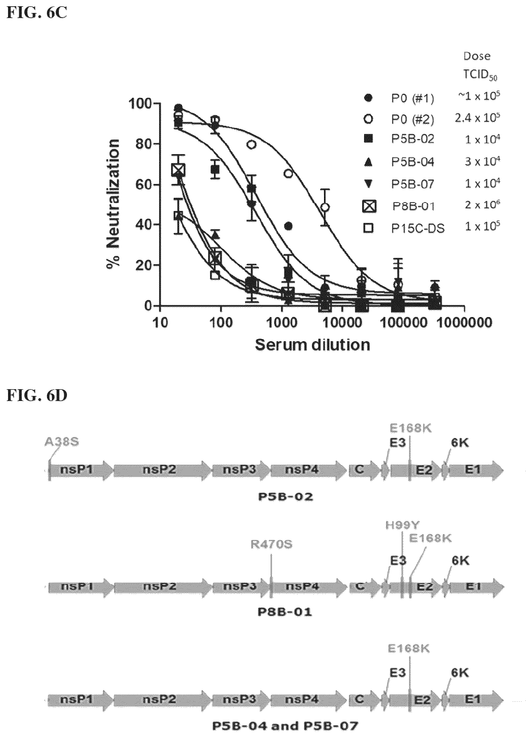 Patent US12564625 Figure 9 – Method of producing pharmaceutical compositions comprising immunogenic chikungunya virus CHIKV-Δ5nsP3