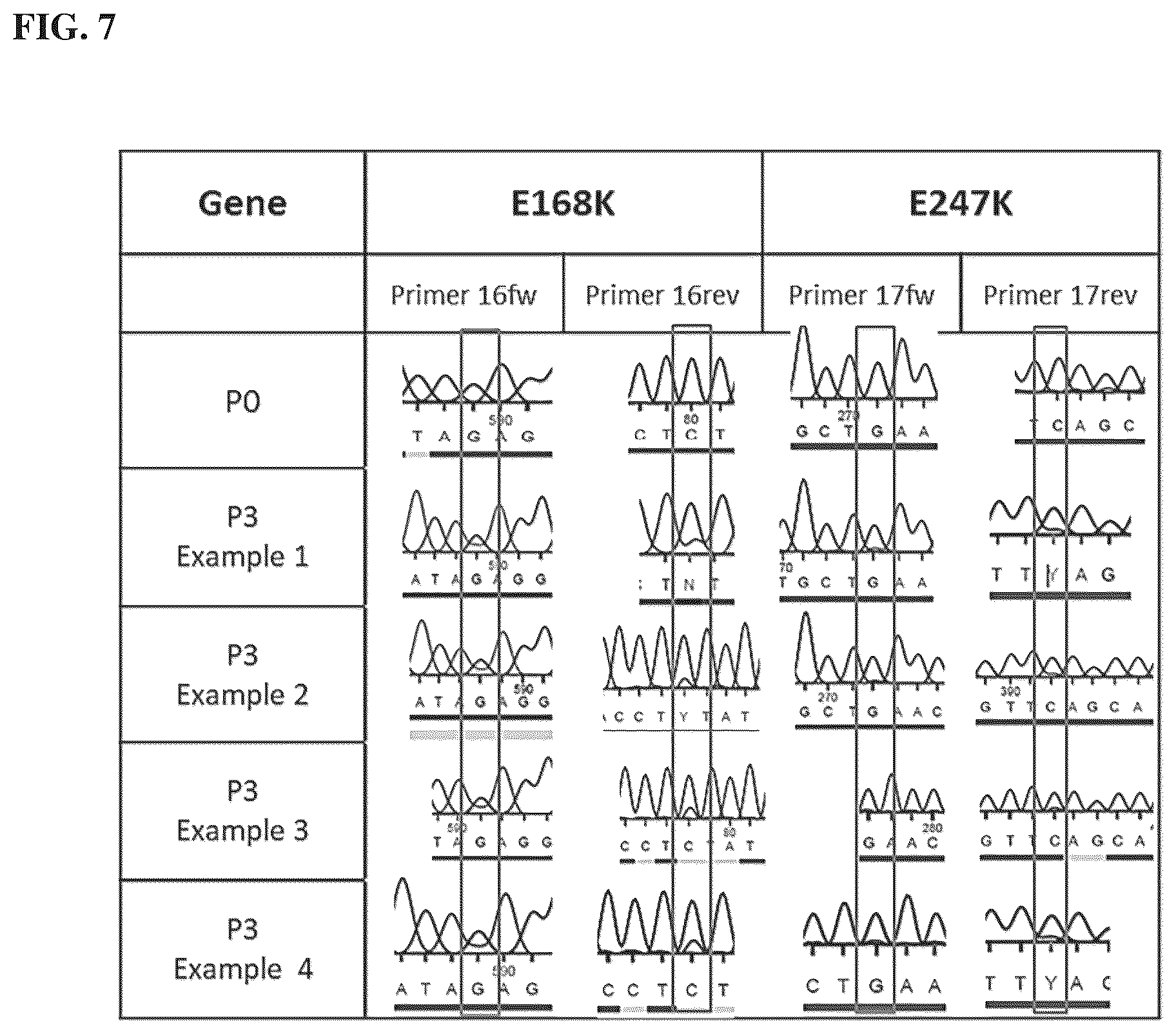 Patent US12564625 Figure 10 – Method of producing pharmaceutical compositions comprising immunogenic chikungunya virus CHIKV-Δ5nsP3