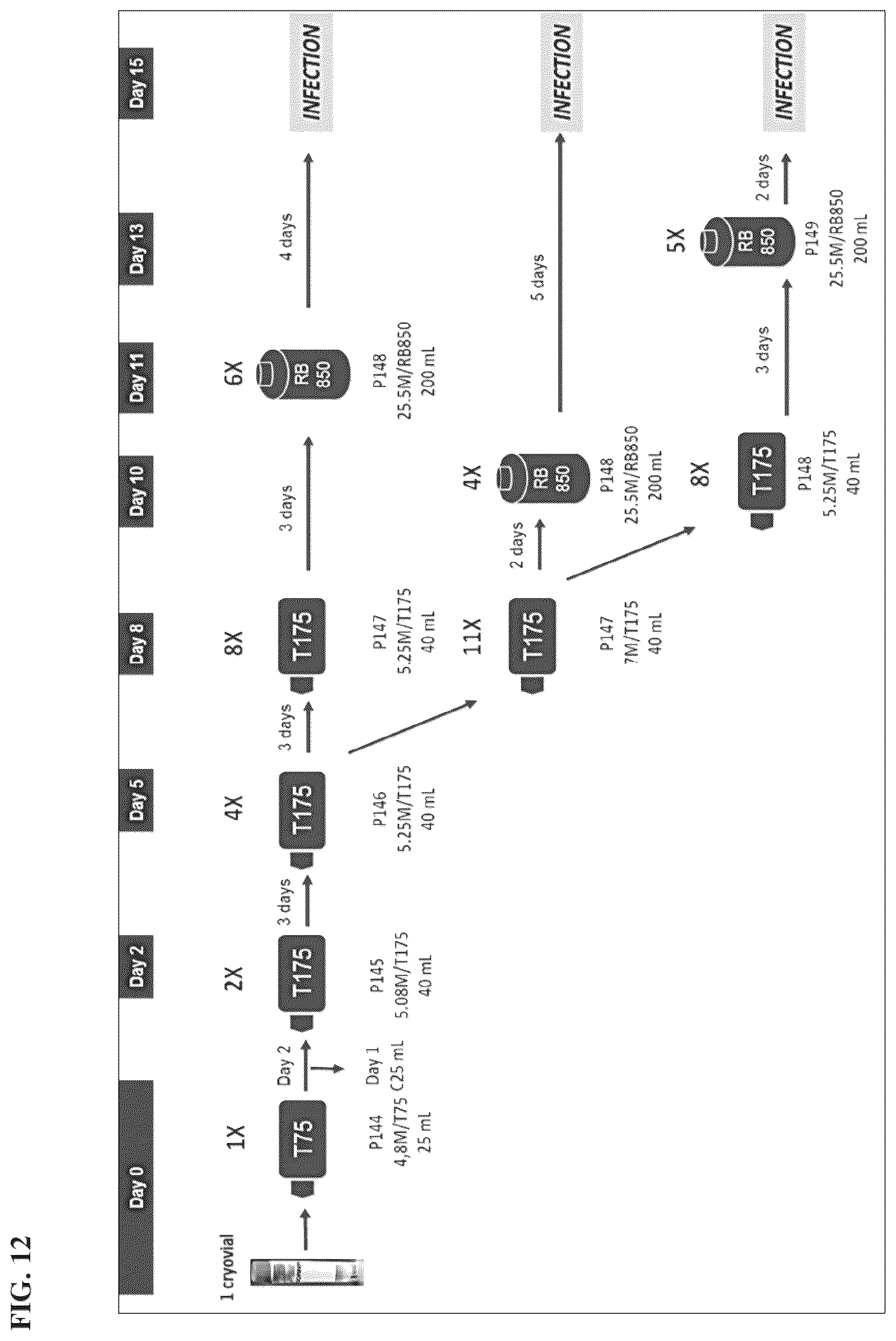 Patent US12564625 Figure 16 – Method of producing pharmaceutical compositions comprising immunogenic chikungunya virus CHIKV-Δ5nsP3