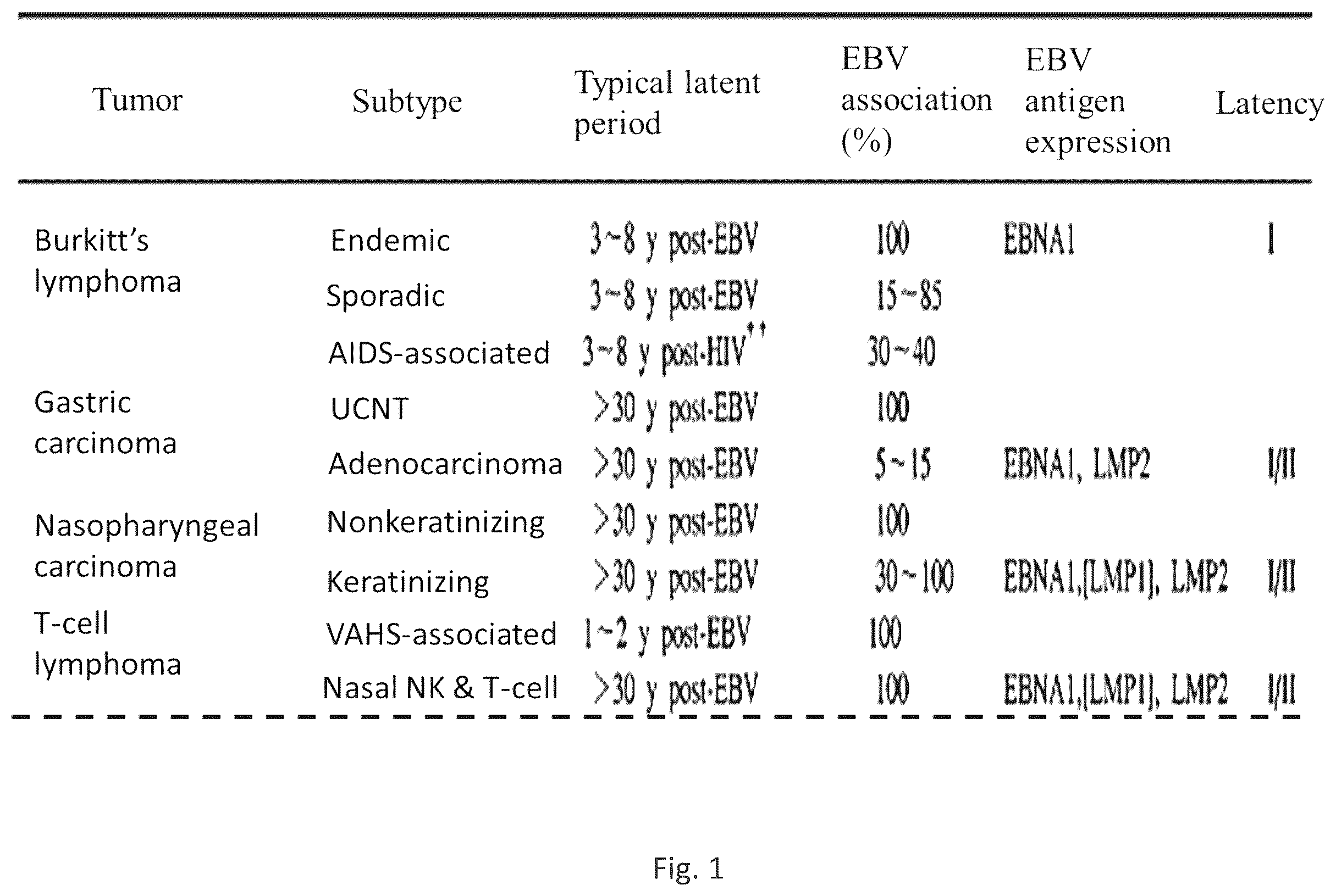 Patent US12564628 Figure 1 – Epstein-BARR virus nucleic acid constructs and vaccines made therefrom, and methods of using same