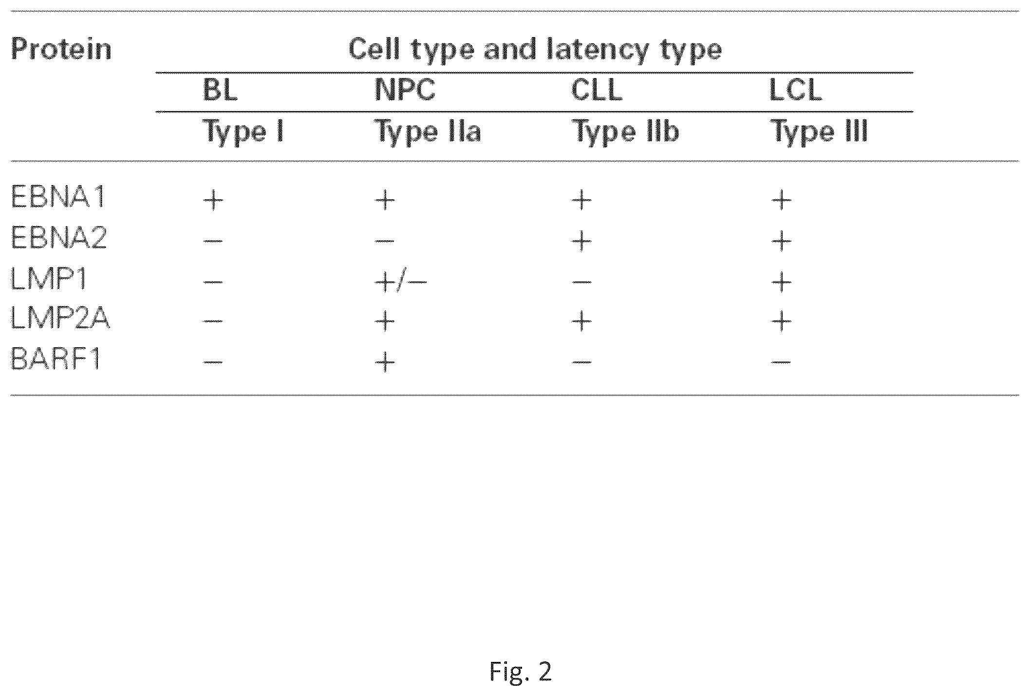 Patent US12564628 Figure 3 – Epstein-BARR virus nucleic acid constructs and vaccines made therefrom, and methods of using same