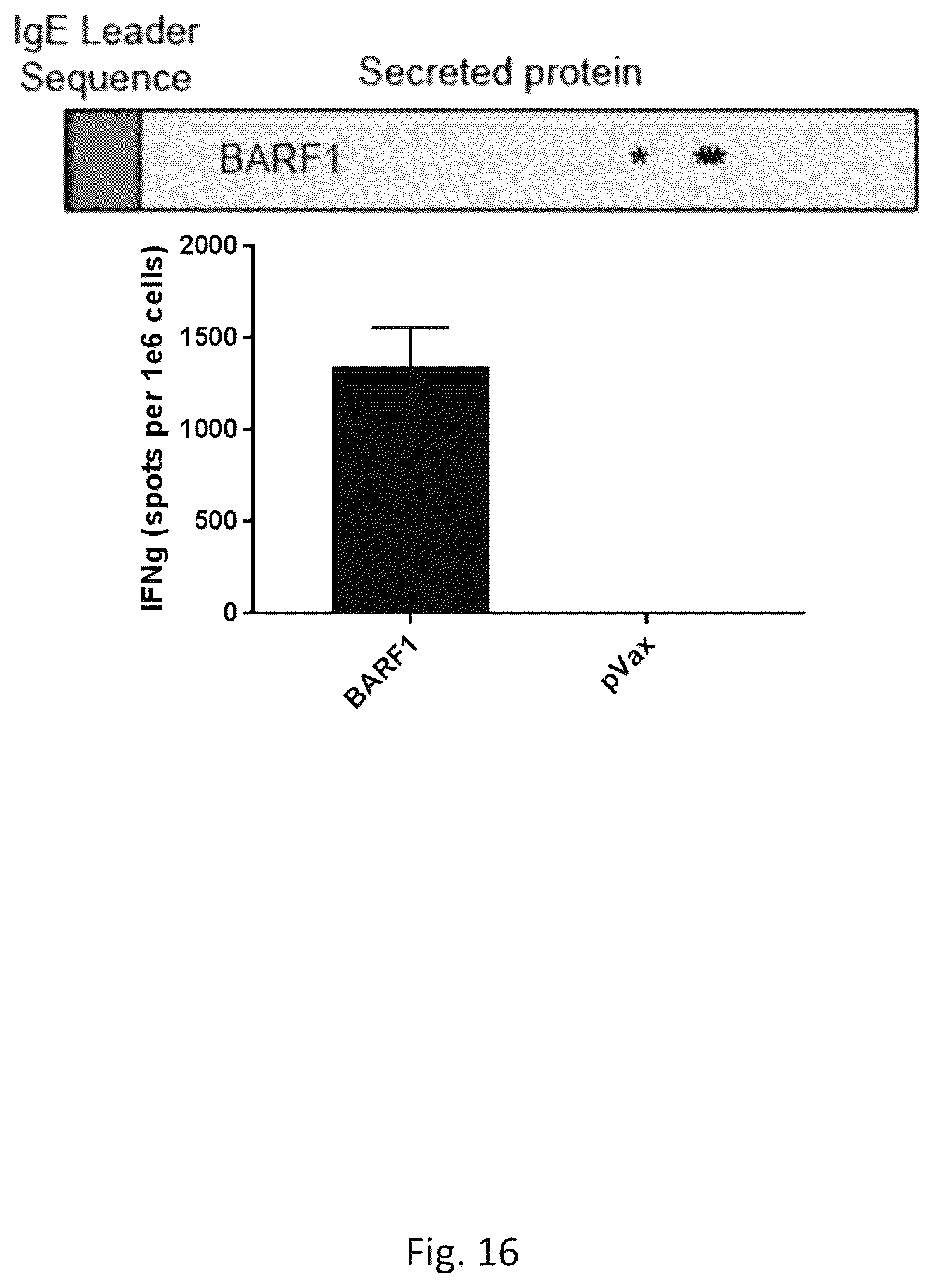 Patent US12564628 Figure 12 – Epstein-BARR virus nucleic acid constructs and vaccines made therefrom, and methods of using same