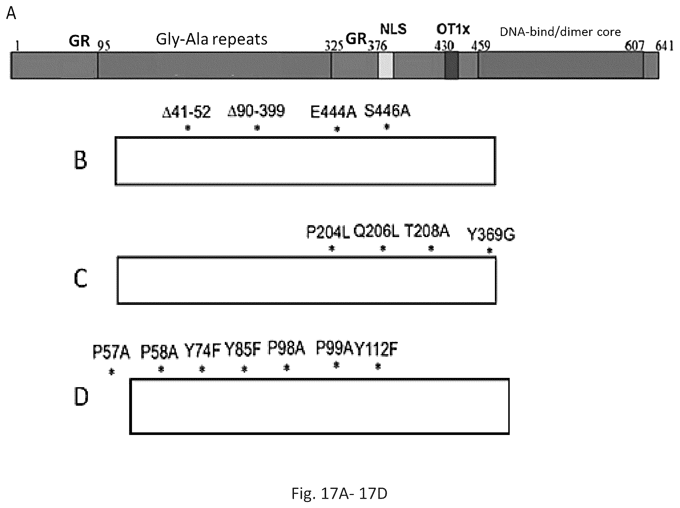 Patent US12564628 Figure 13 – Epstein-BARR virus nucleic acid constructs and vaccines made therefrom, and methods of using same