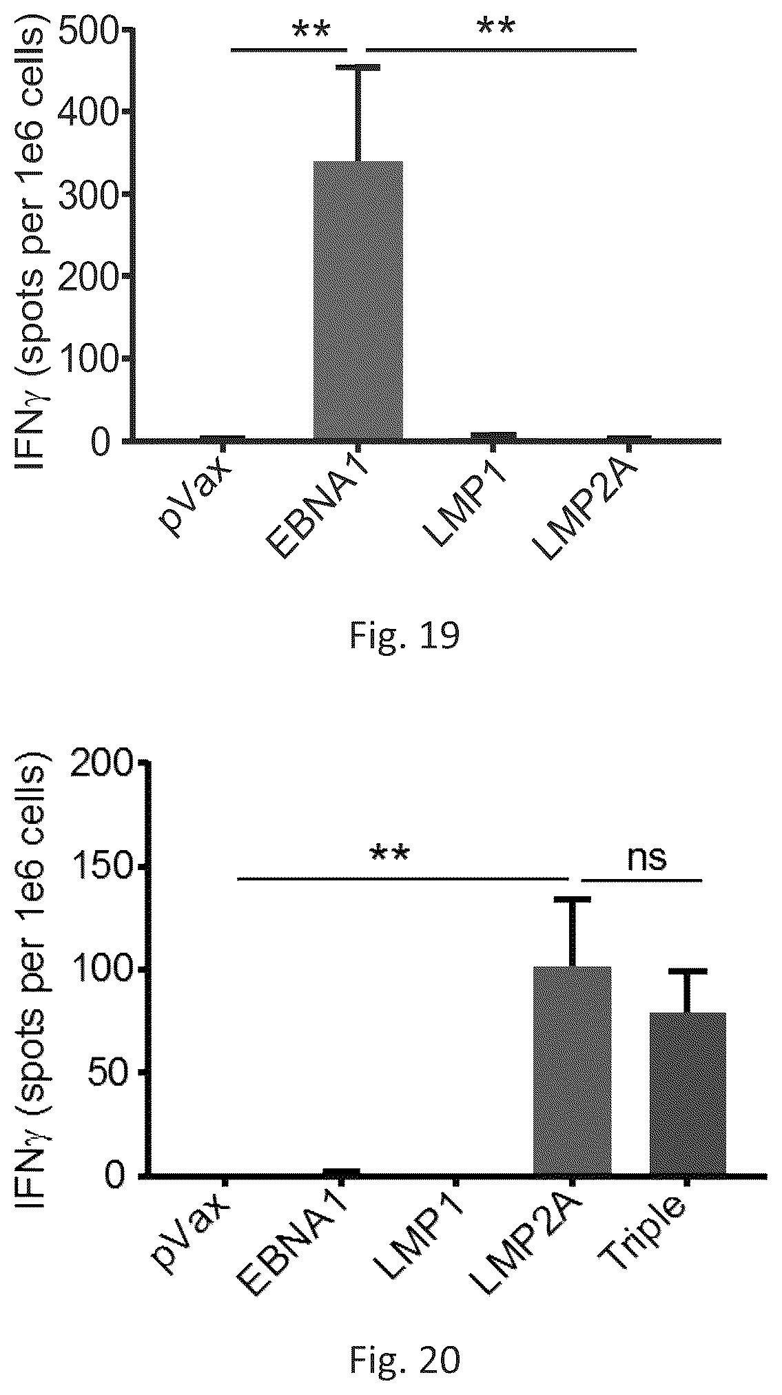 Patent US12564628 Figure 16 – Epstein-BARR virus nucleic acid constructs and vaccines made therefrom, and methods of using same