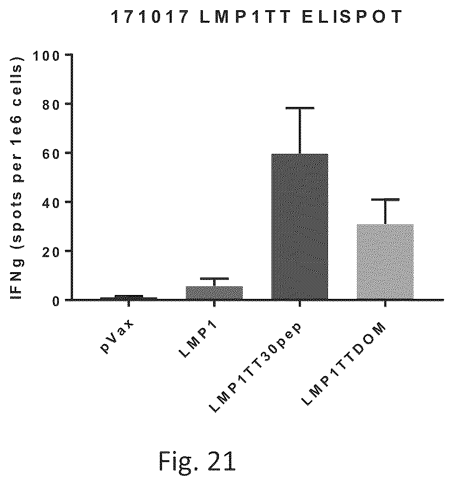 Patent US12564628 Figure 17 – Epstein-BARR virus nucleic acid constructs and vaccines made therefrom, and methods of using same