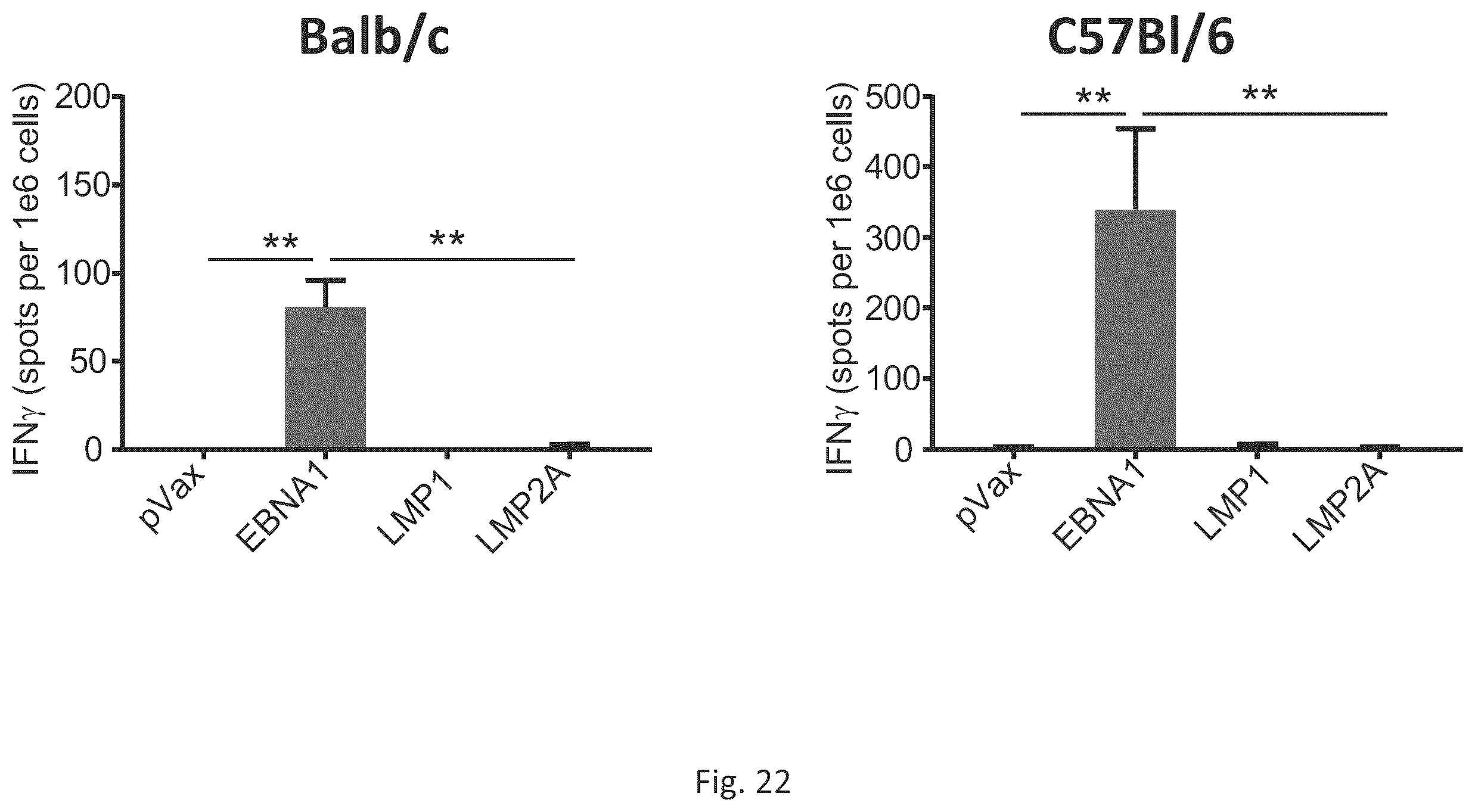 Patent US12564628 Figure 18 – Epstein-BARR virus nucleic acid constructs and vaccines made therefrom, and methods of using same
