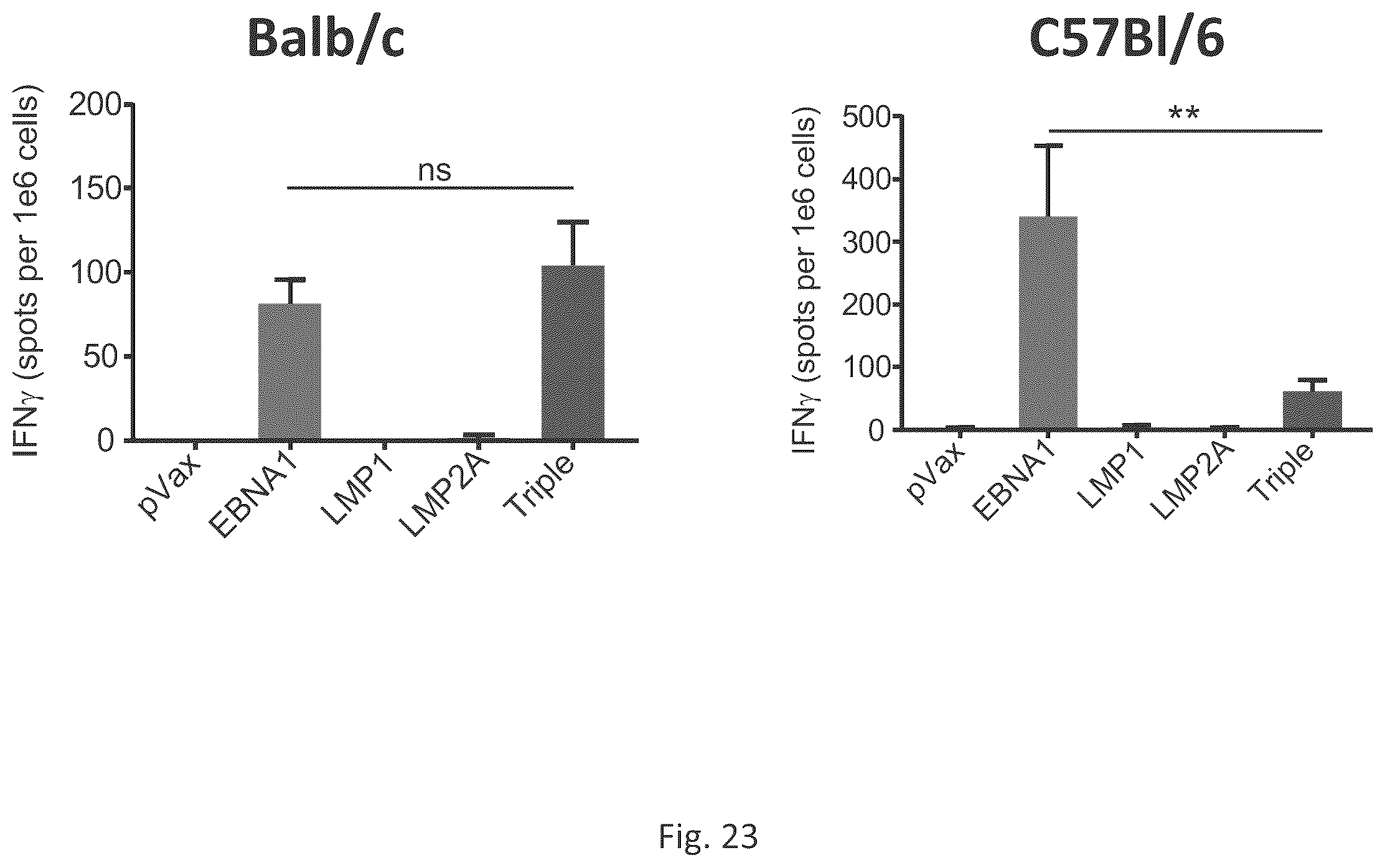 Patent US12564628 Figure 19 – Epstein-BARR virus nucleic acid constructs and vaccines made therefrom, and methods of using same