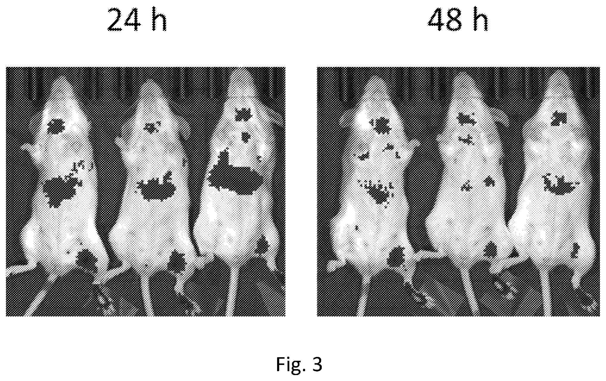 Patent US12564630 Figure 3 – Vaccine adjuvants