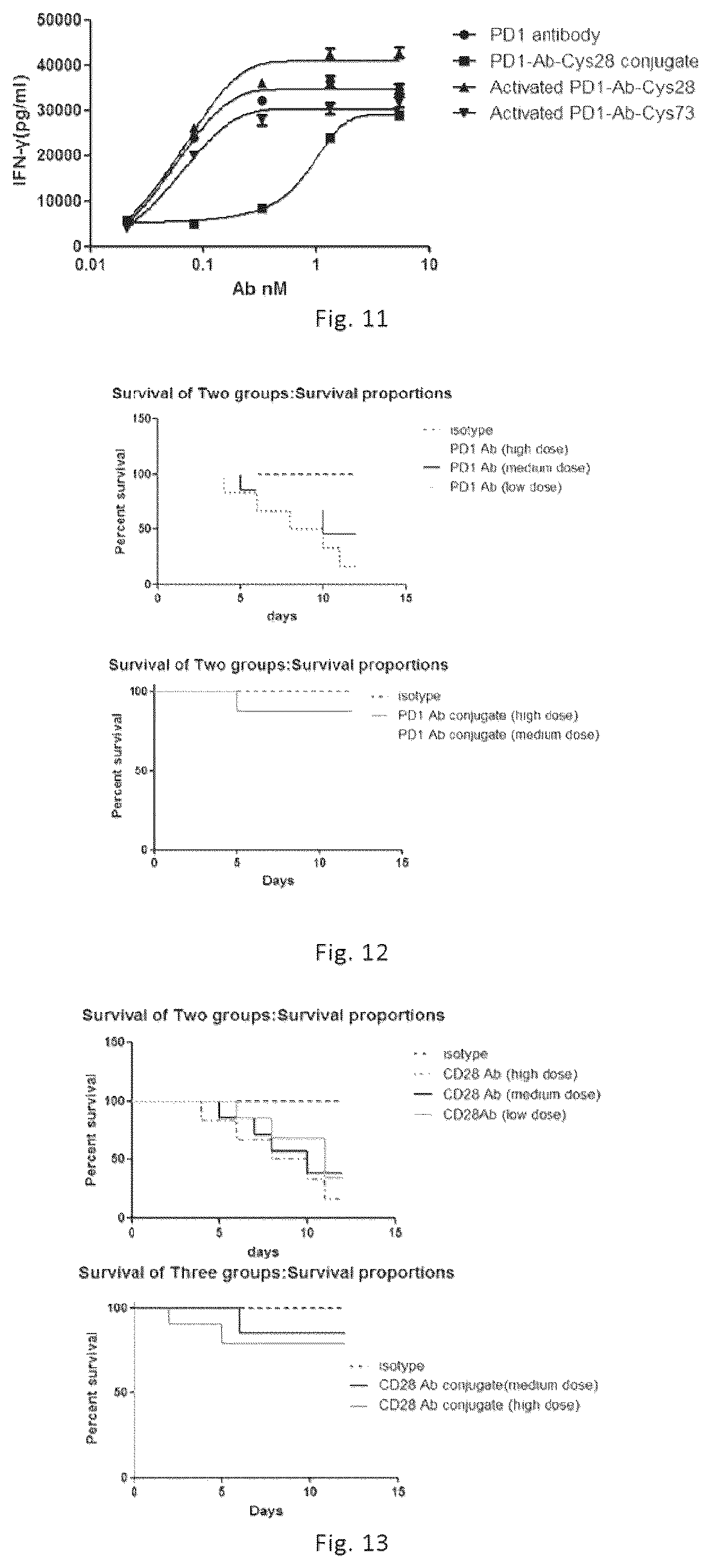 Patent US12564632 Figure 4 – Conjugates of biomolecule and use thereof