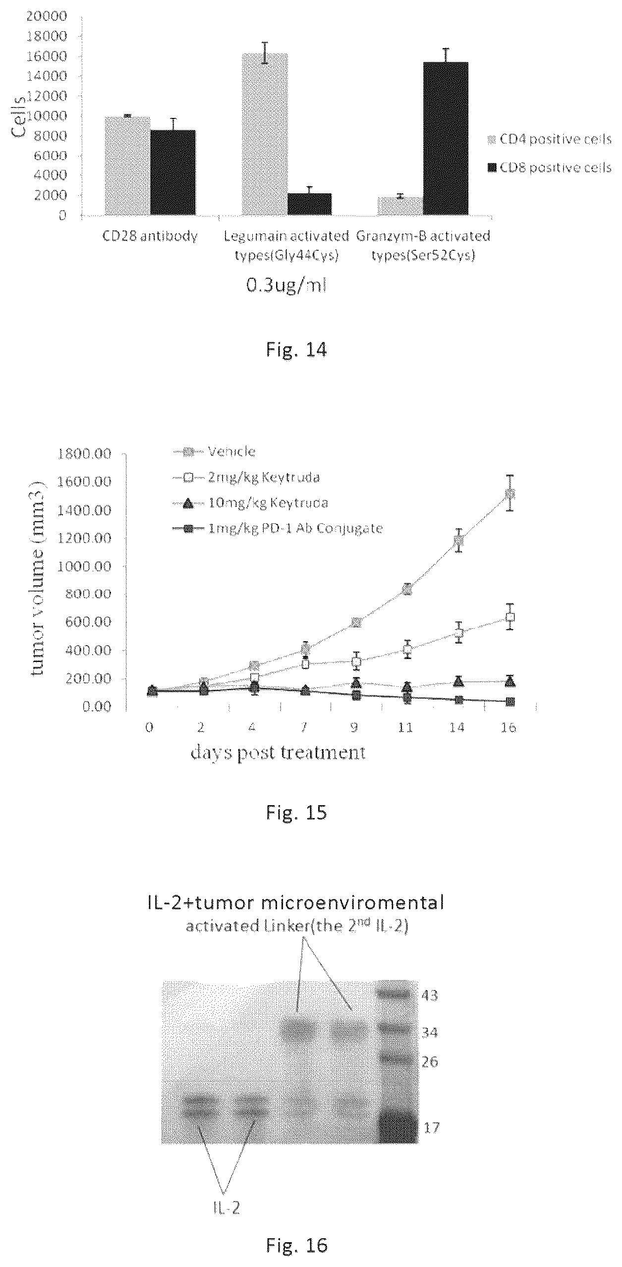Patent US12564632 Figure 5 – Conjugates of biomolecule and use thereof