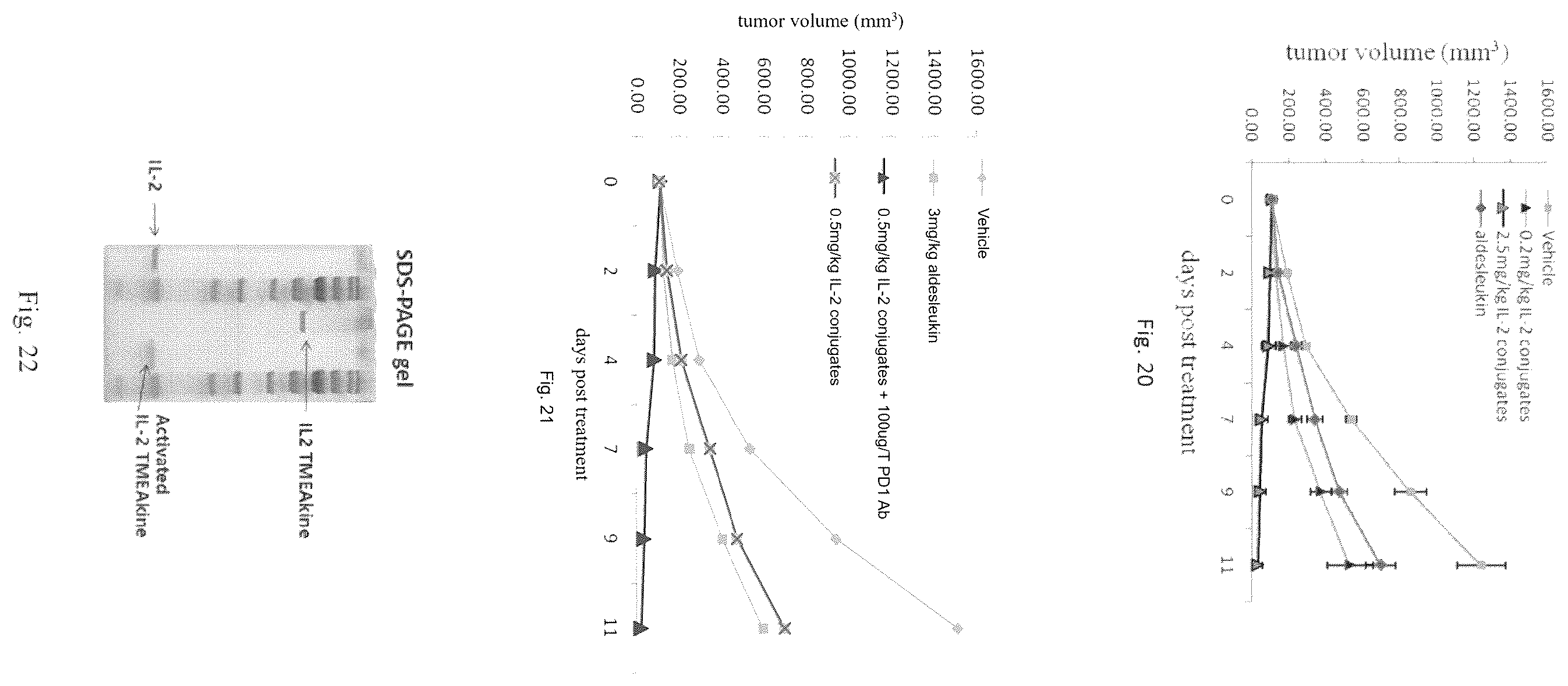 Patent US12564632 Figure 7 – Conjugates of biomolecule and use thereof