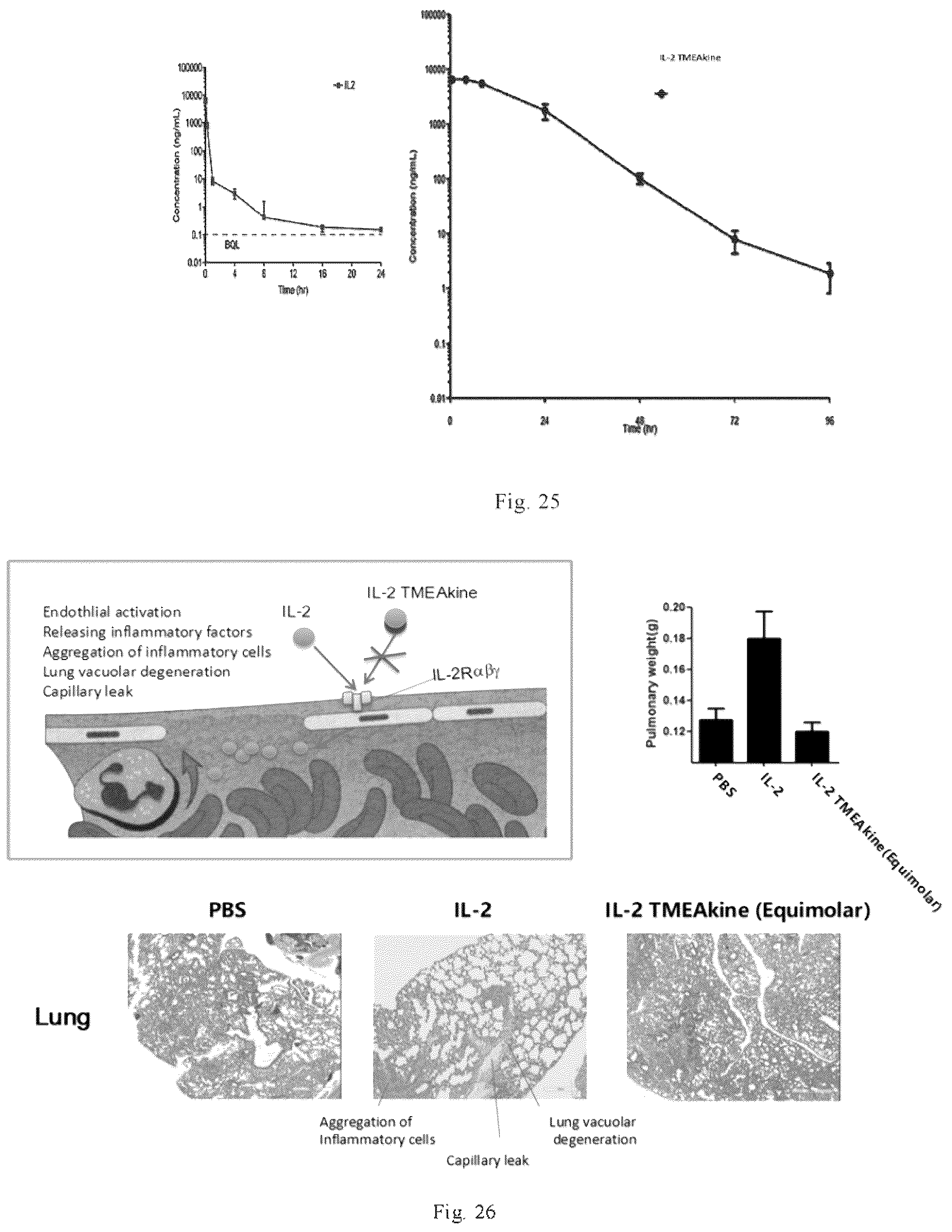 Patent US12564632 Figure 9 – Conjugates of biomolecule and use thereof