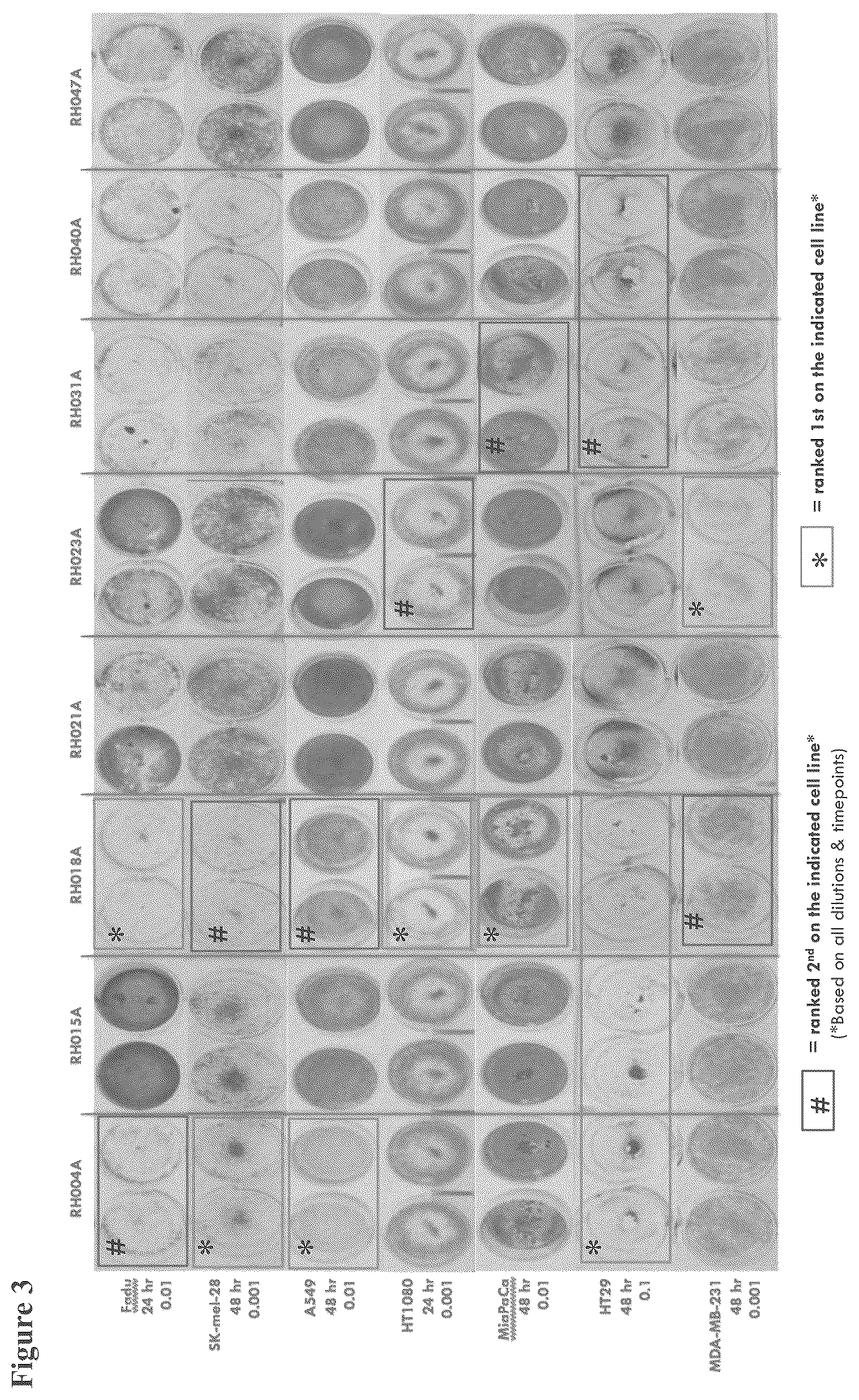 Patent US12564633 Figure 3 – Oncolytic virus strain