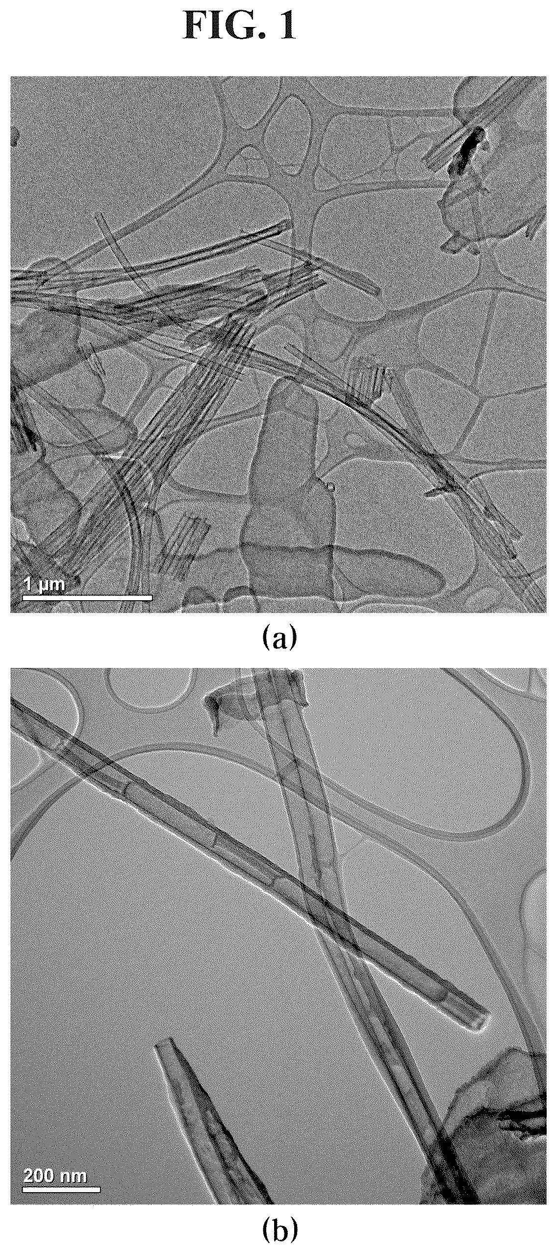 Patent US12564634 Figure 1 – Highly dispersible zinc phthalocyanine-silica nanotubes and preparation method therefor
