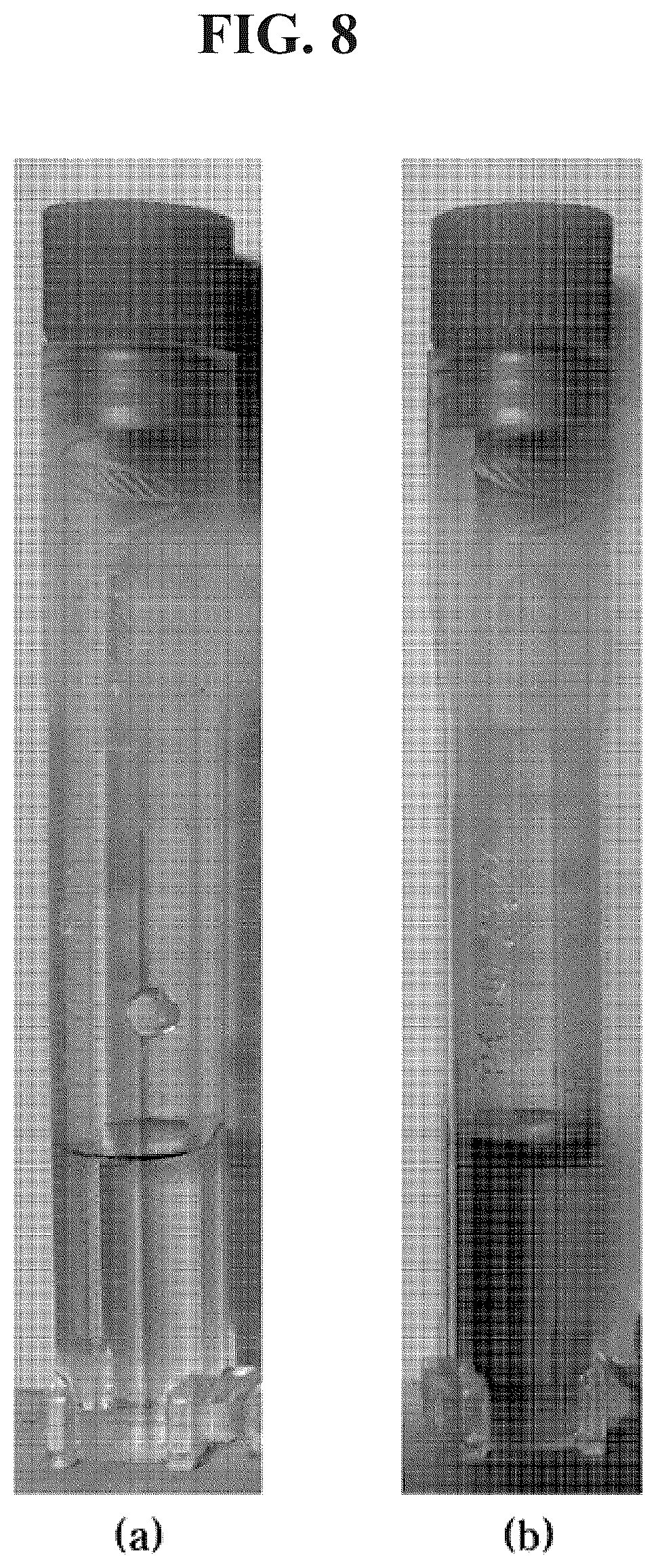 Patent US12564634 Figure 8 – Highly dispersible zinc phthalocyanine-silica nanotubes and preparation method therefor