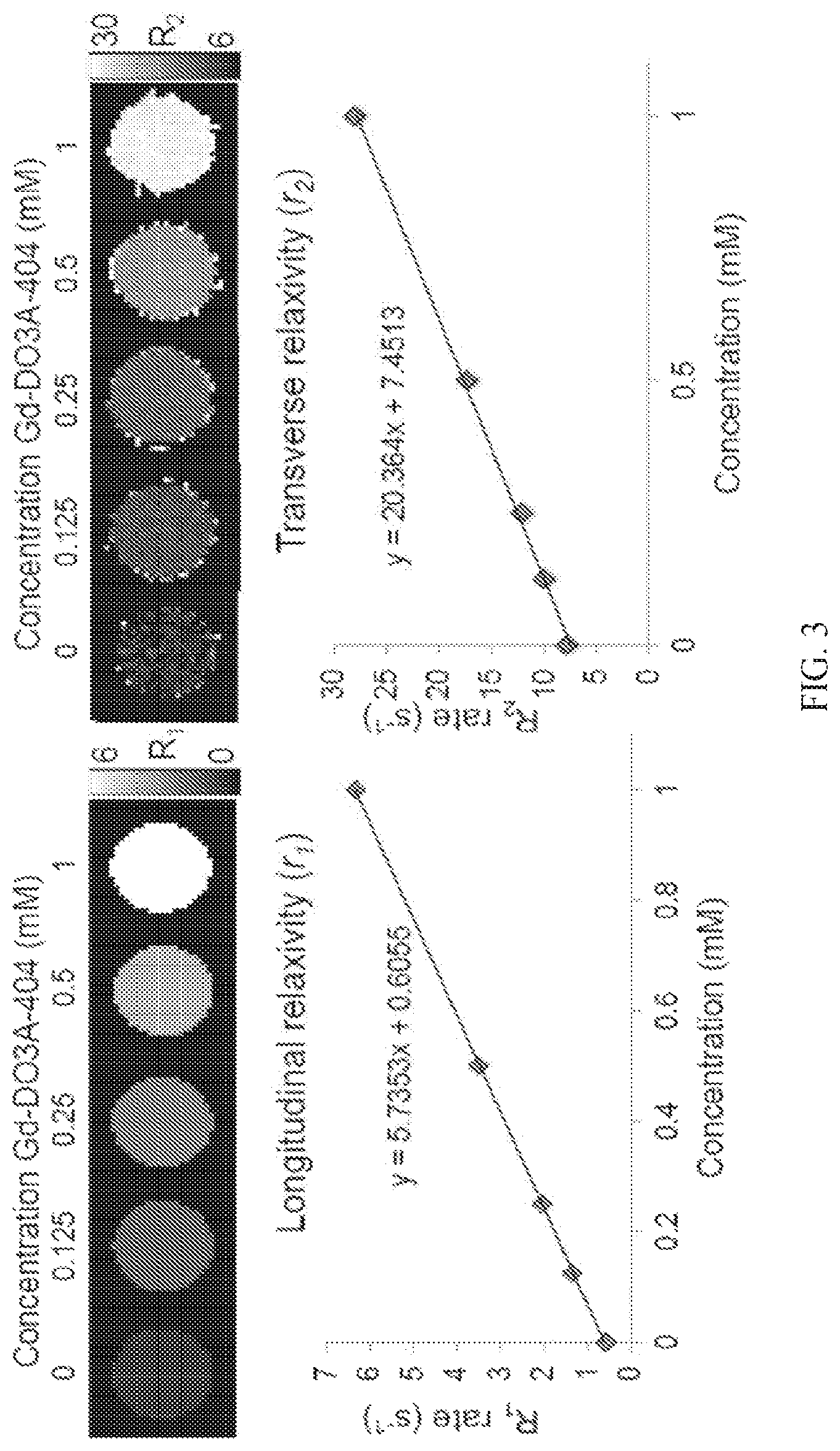 Patent US12564635 Figure 3 – Long-lived gadolinium based tumor targeted imaging and therapy agents