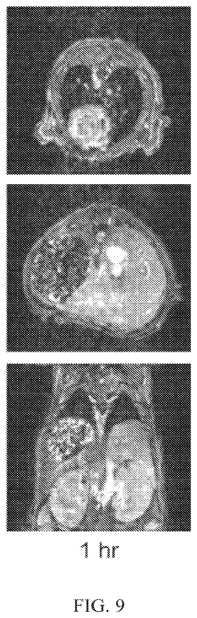 Patent US12564635 Figure 9 – Long-lived gadolinium based tumor targeted imaging and therapy agents