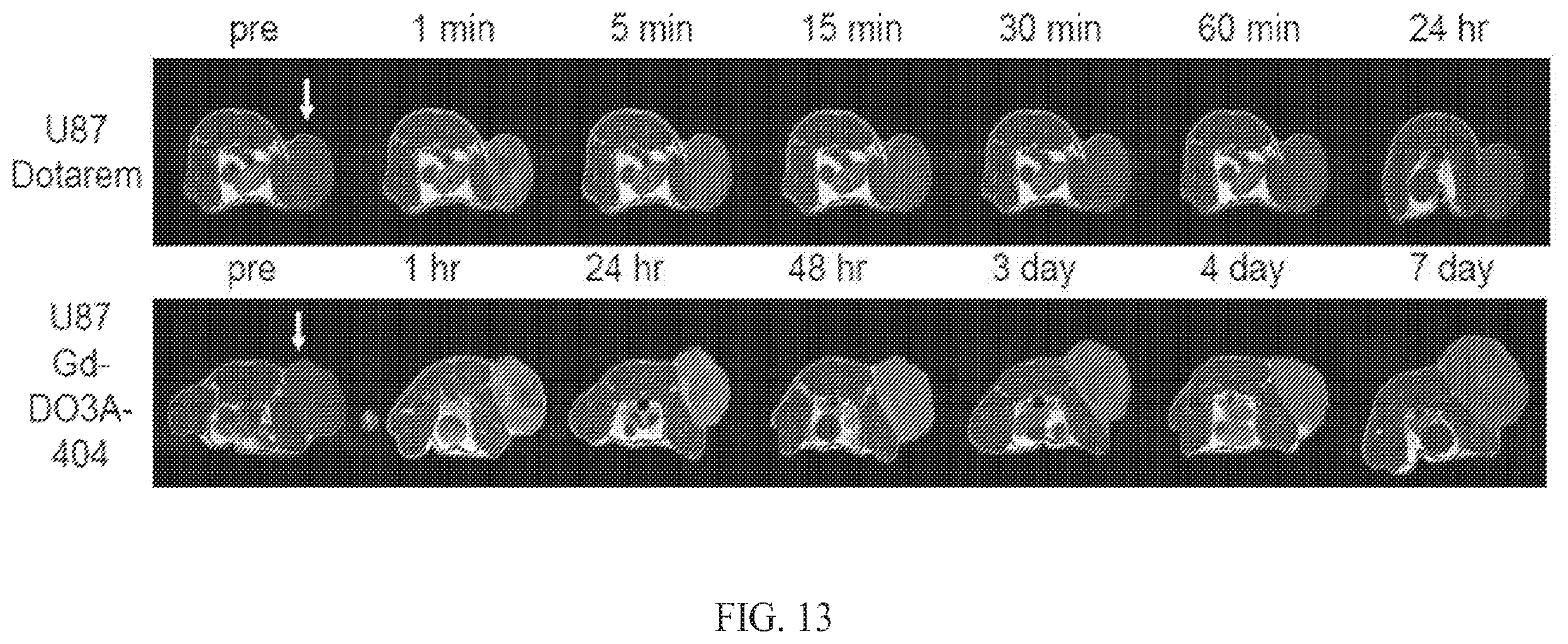 Patent US12564635 Figure 13 – Long-lived gadolinium based tumor targeted imaging and therapy agents