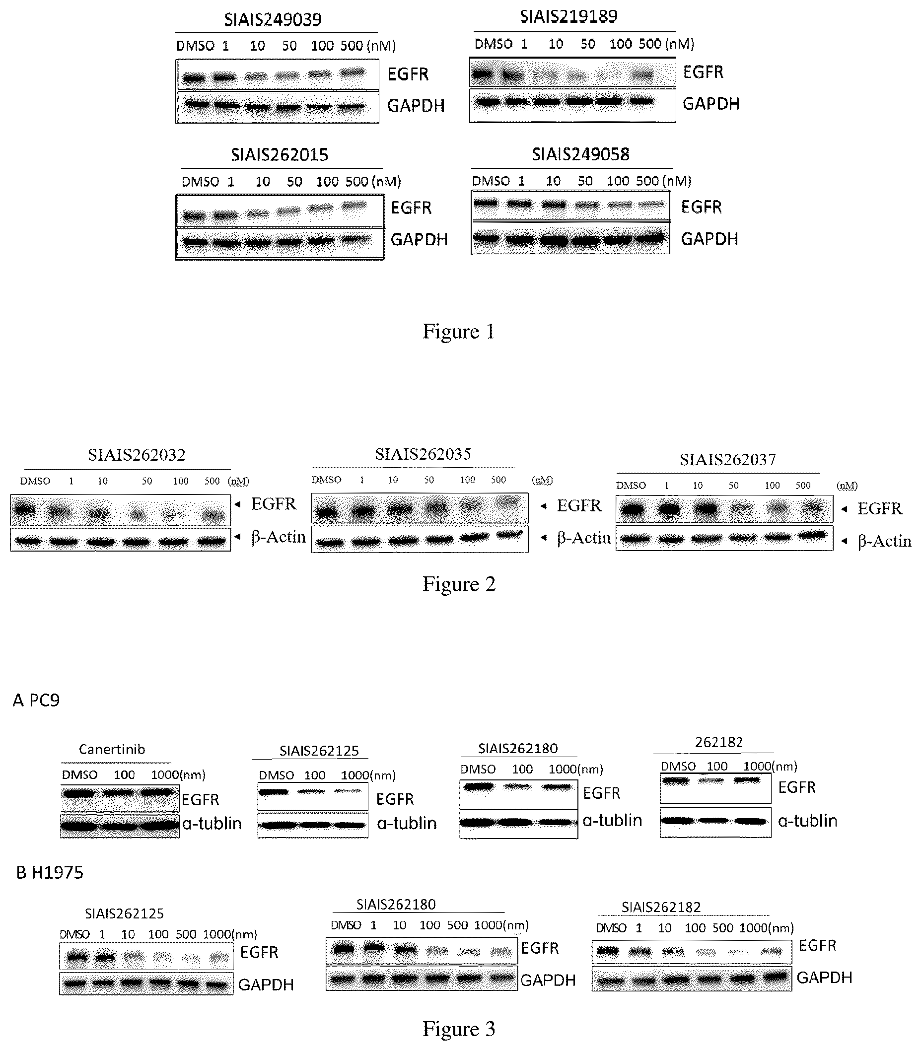 Patent US12564638 Figure 1 – EGFR protein degradant and anti-tumor application thereof