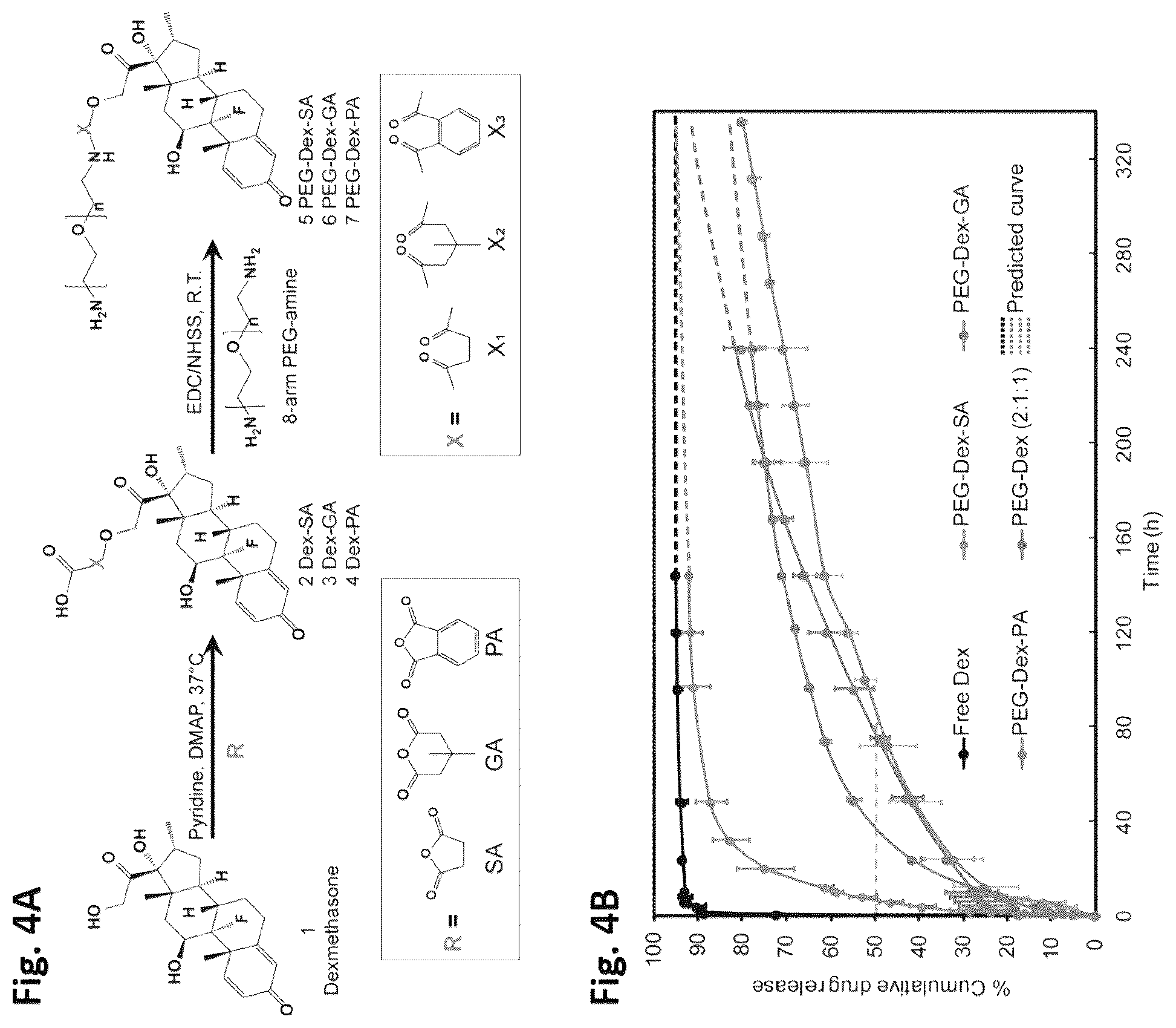 Patent US12564639 Figure 4 – Cationic nanostructures for intra-cartilage delivery of contrast agents and diagnostic uses thereof