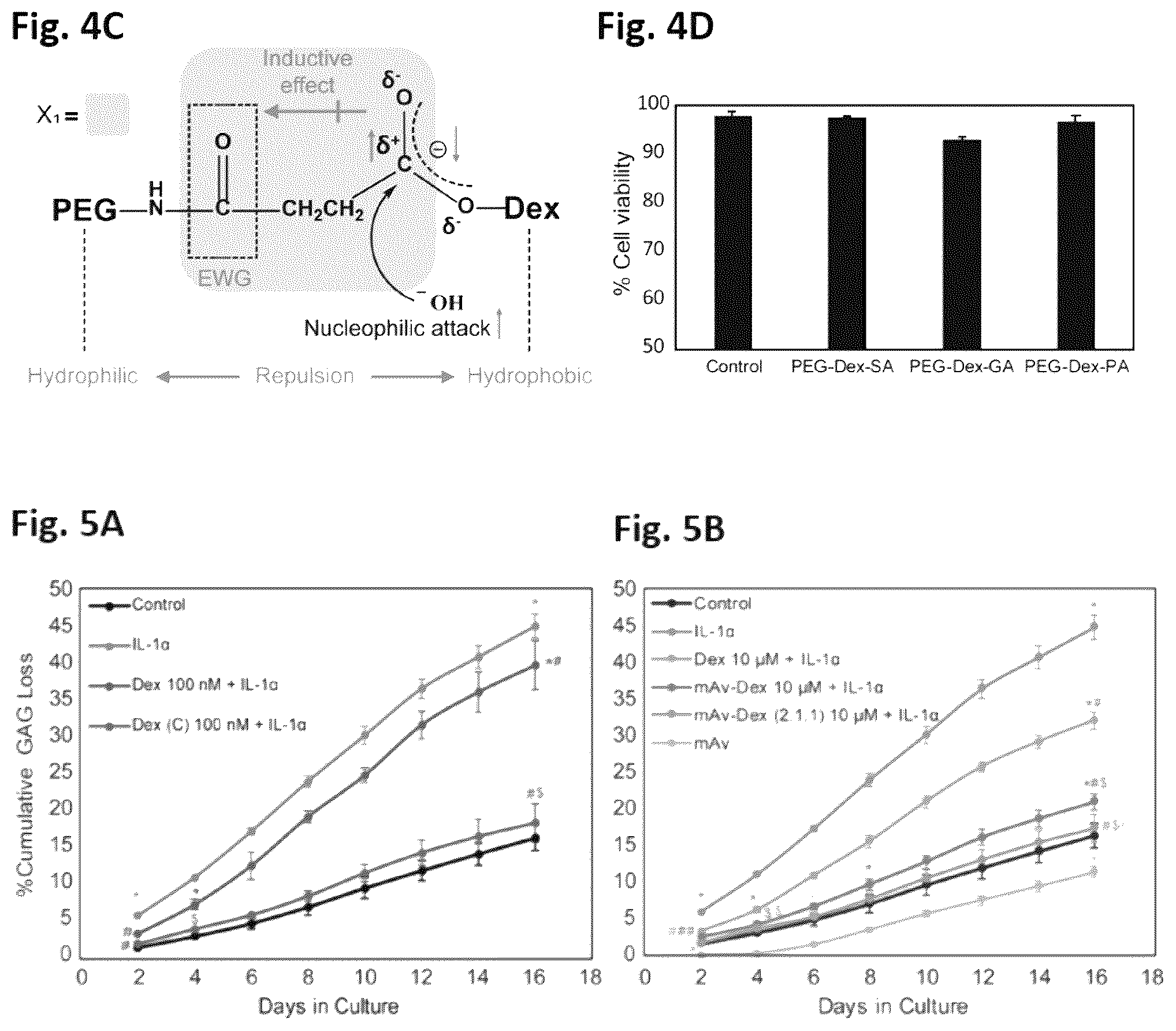 Patent US12564639 Figure 5 – Cationic nanostructures for intra-cartilage delivery of contrast agents and diagnostic uses thereof