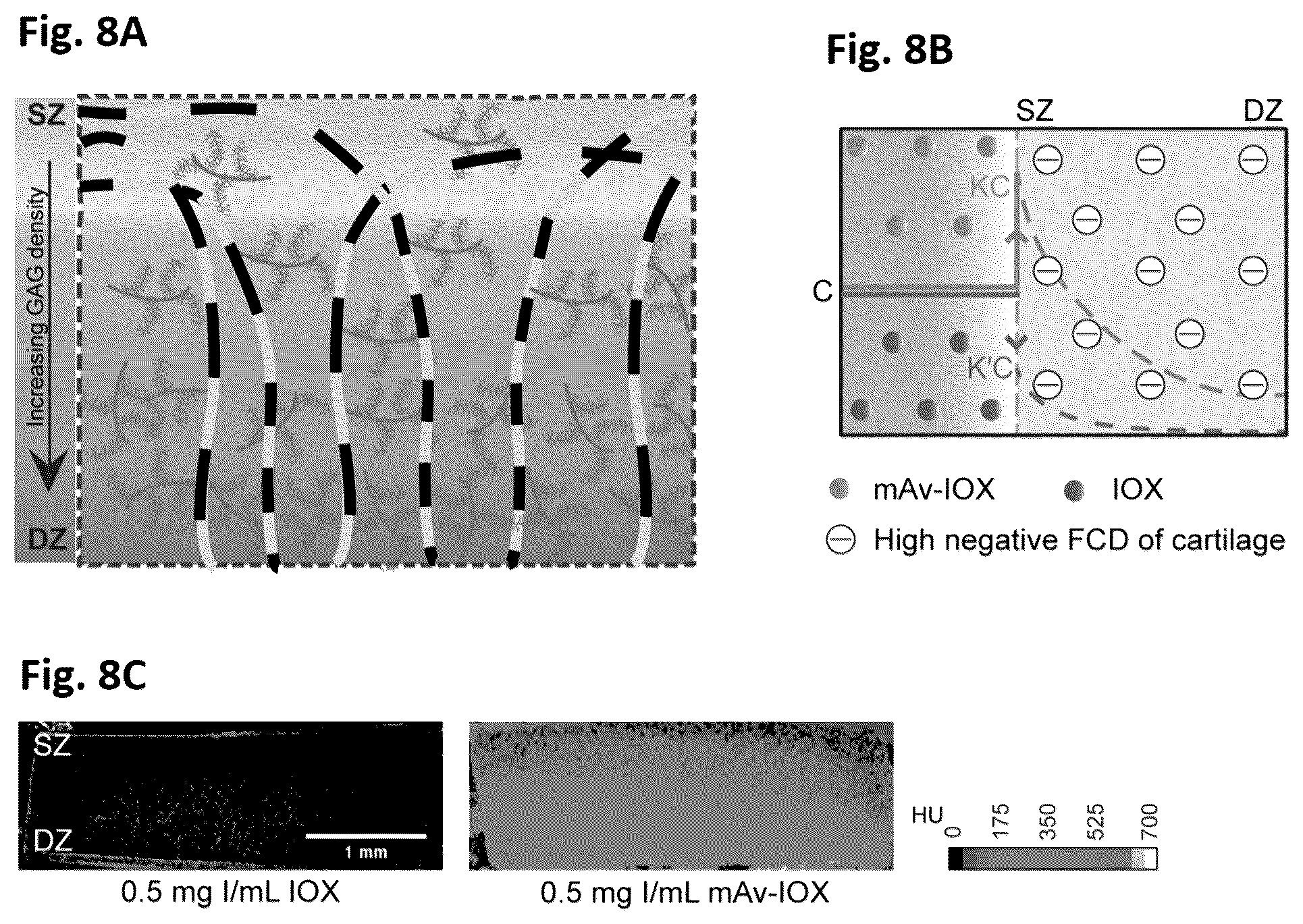 Patent US12564639 Figure 9 – Cationic nanostructures for intra-cartilage delivery of contrast agents and diagnostic uses thereof
