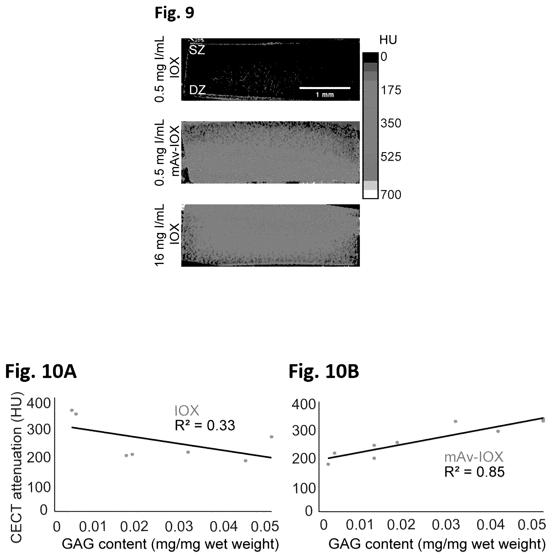 Patent US12564639 Figure 10 – Cationic nanostructures for intra-cartilage delivery of contrast agents and diagnostic uses thereof