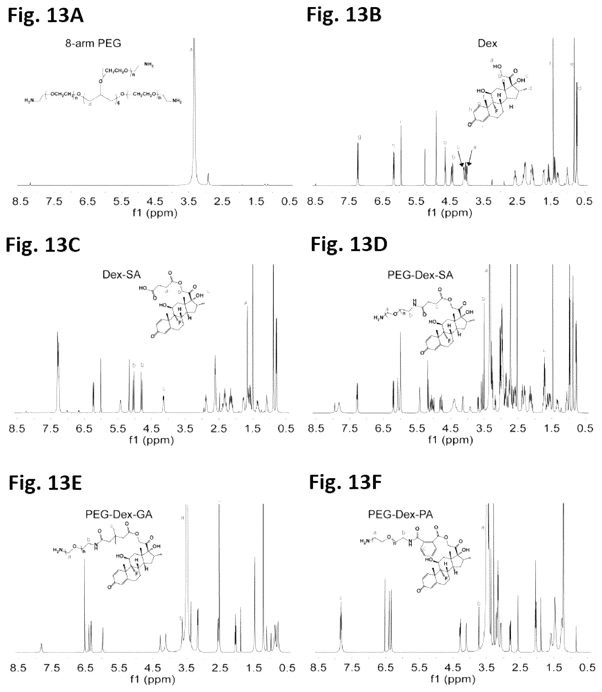 Patent US12564639 Figure 12 – Cationic nanostructures for intra-cartilage delivery of contrast agents and diagnostic uses thereof