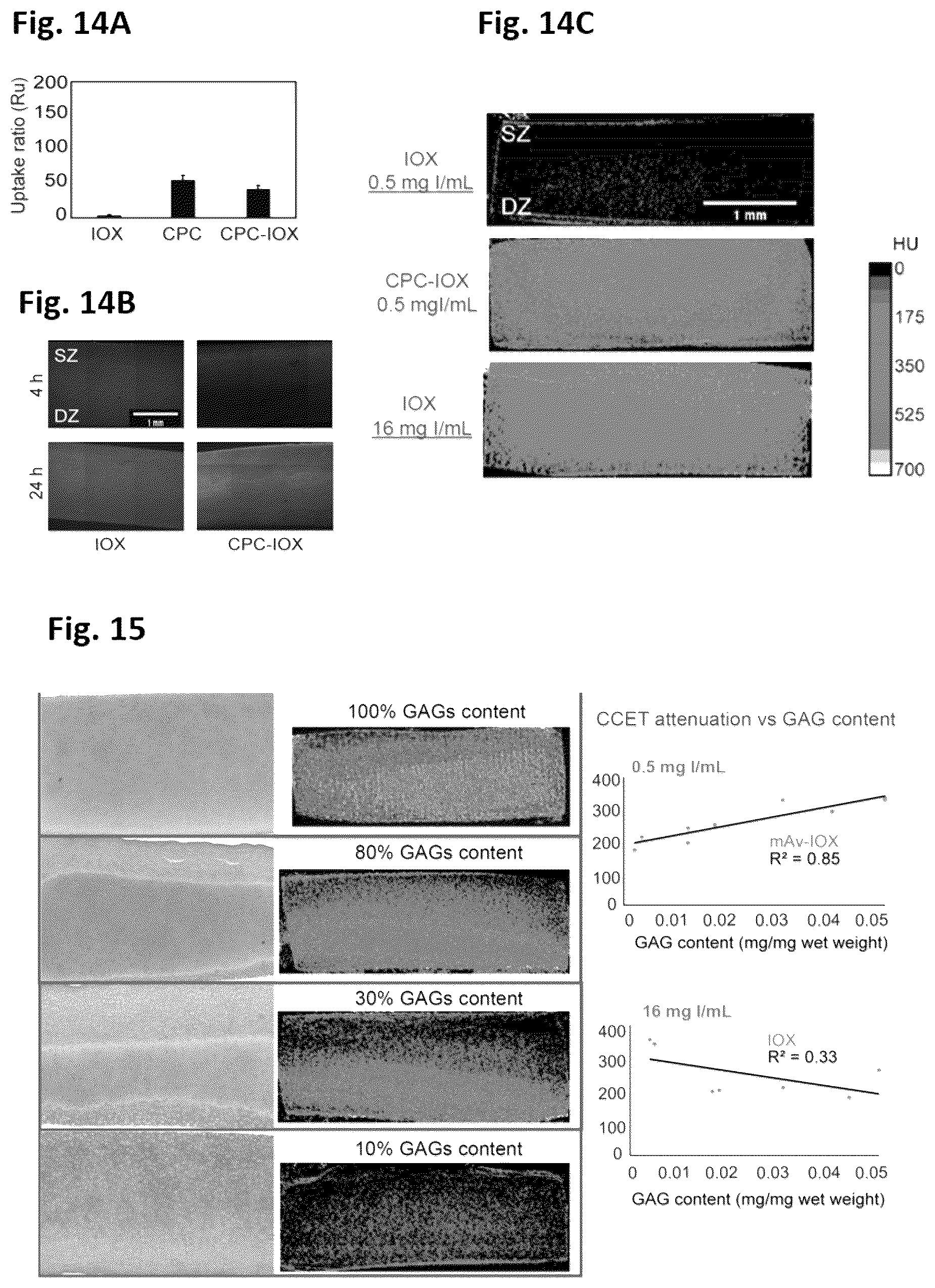 Patent US12564639 Figure 13 – Cationic nanostructures for intra-cartilage delivery of contrast agents and diagnostic uses thereof