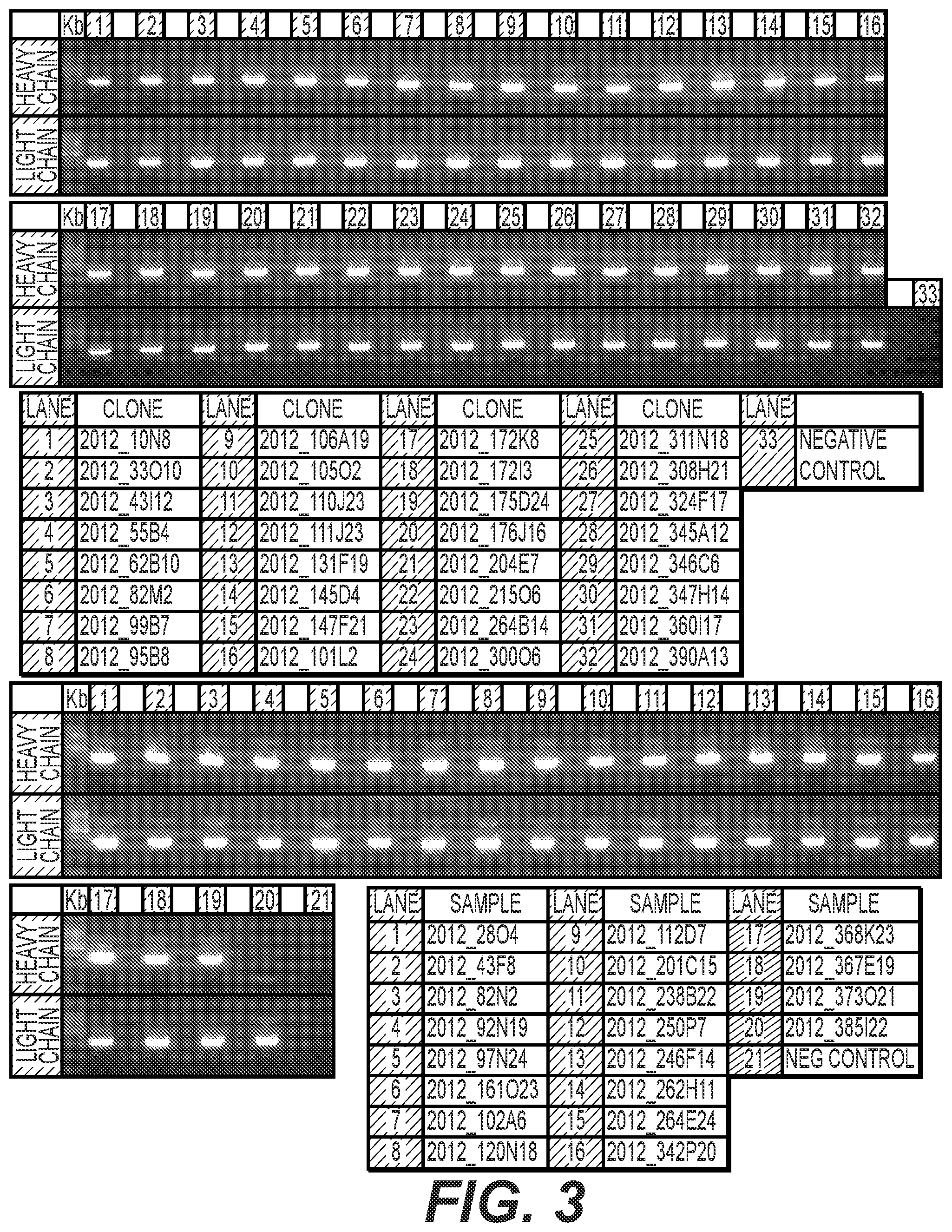 Patent US12564641 Figure 3 – Eribulin antibody-drug conjugates and methods of use