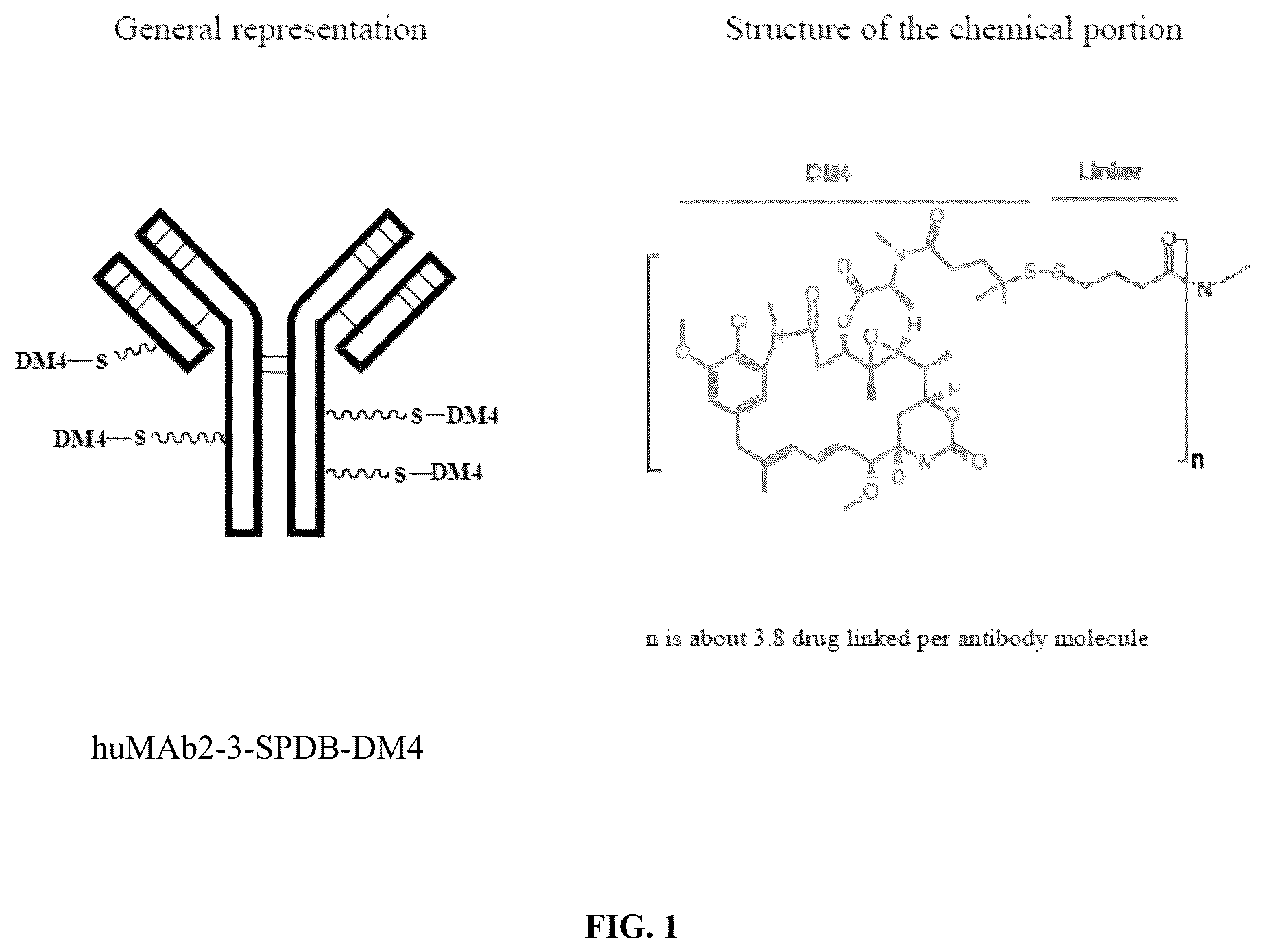 Patent US12564642 Figure 1 – CEACAM5 antibody-drug conjugate formulation