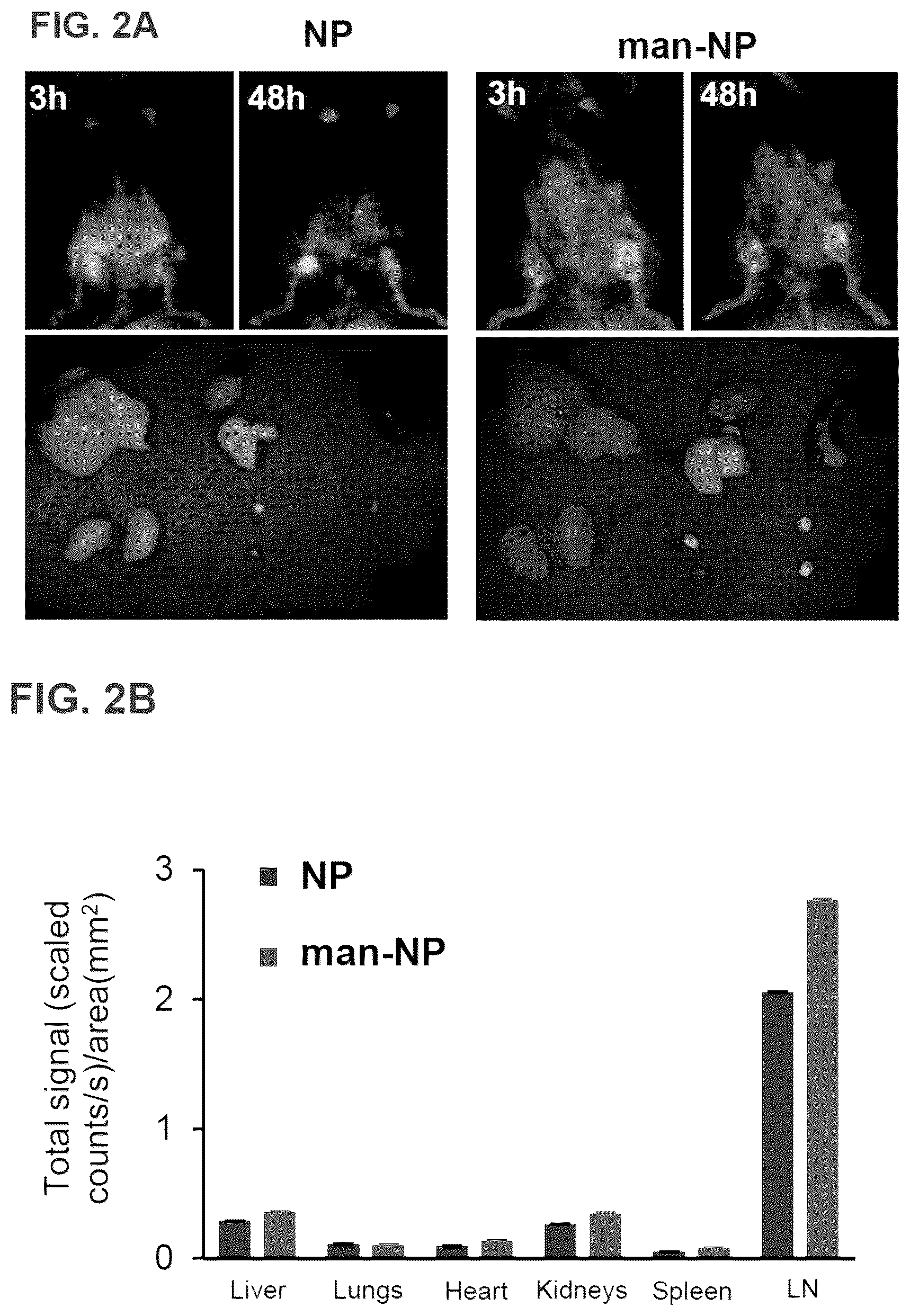 Patent US12564643 Figure 6 – Polymeric nanovaccines and uses thereof