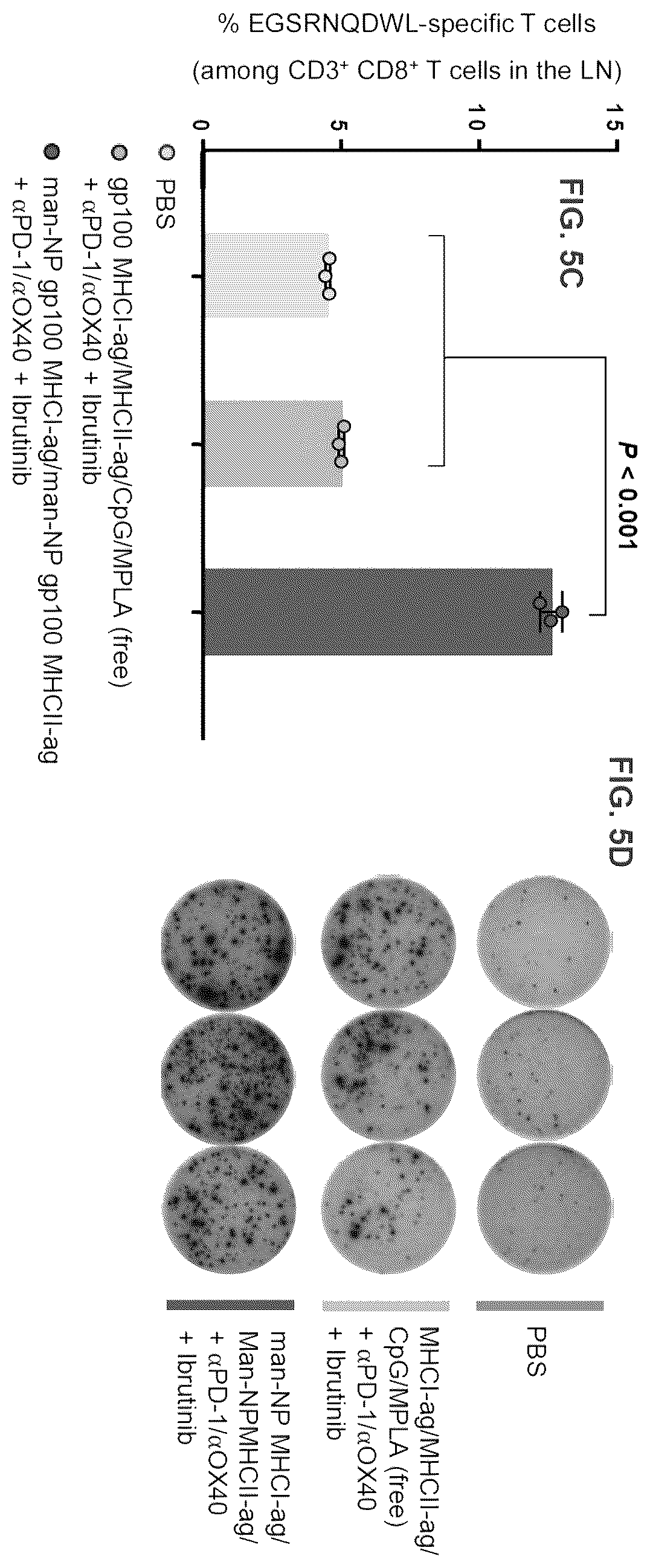 Patent US12564643 Figure 18 – Polymeric nanovaccines and uses thereof