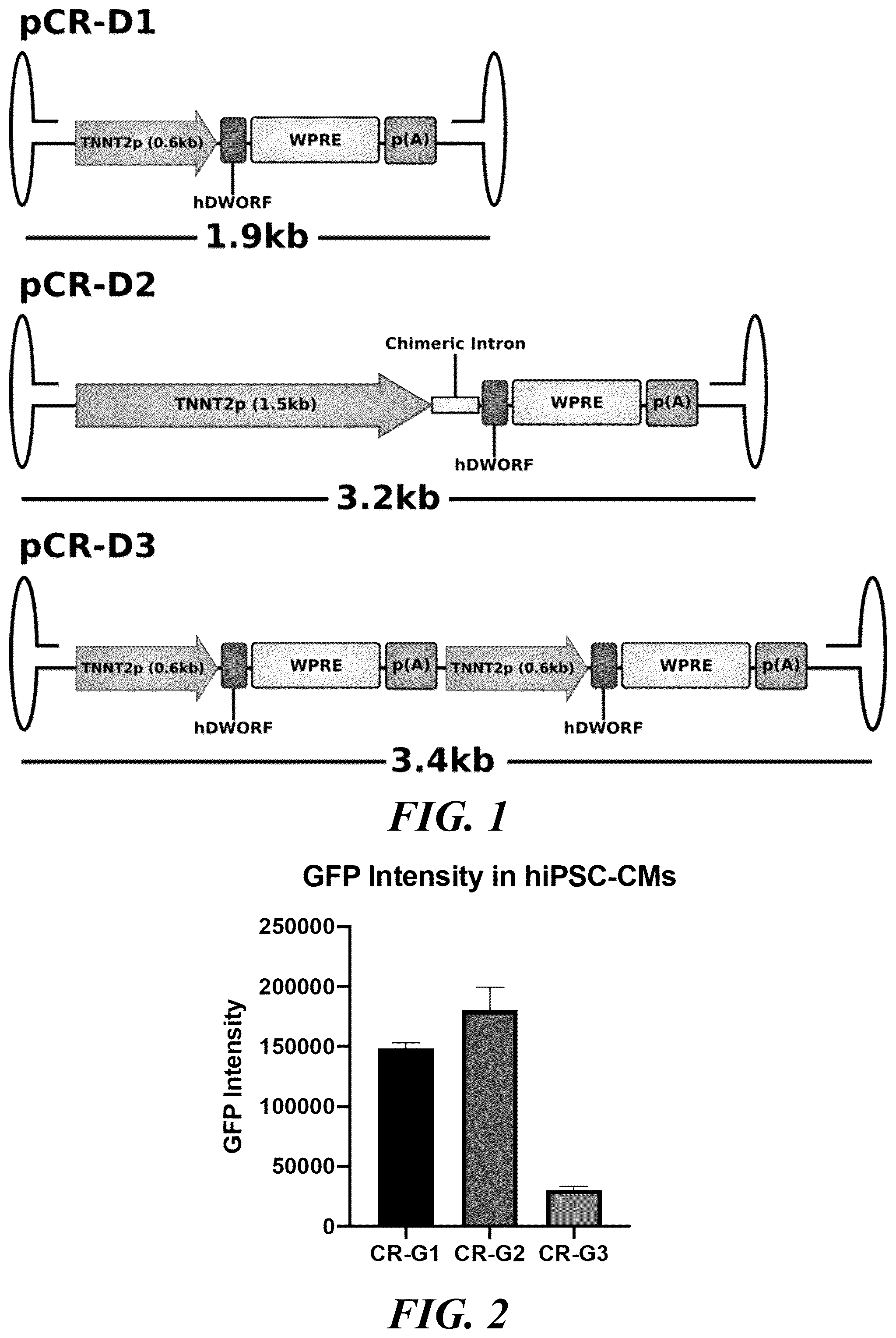 Patent US12564647 Figure 1 – Optimized expression cassettes for gene therapy
