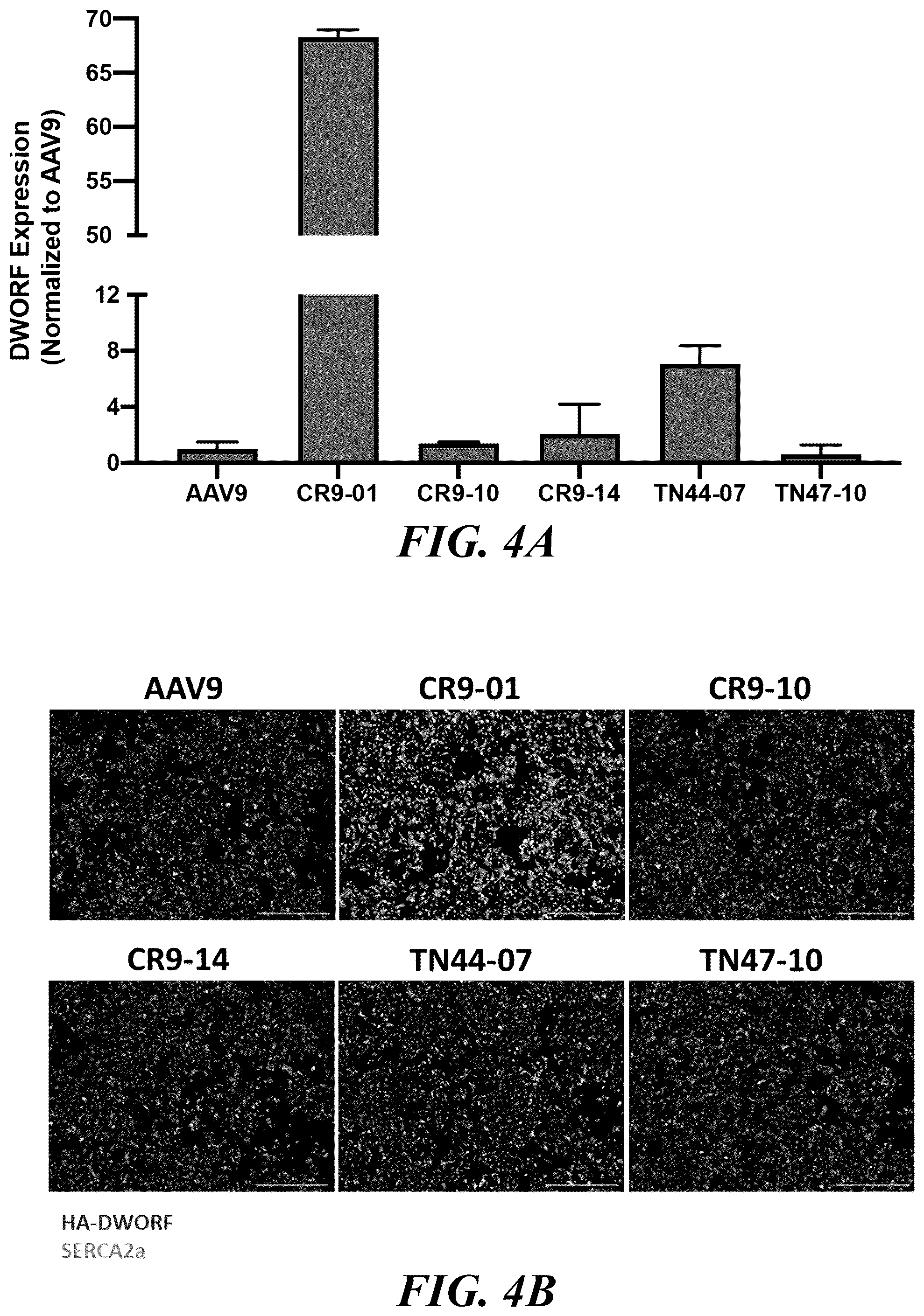 Patent US12564647 Figure 3 – Optimized expression cassettes for gene therapy