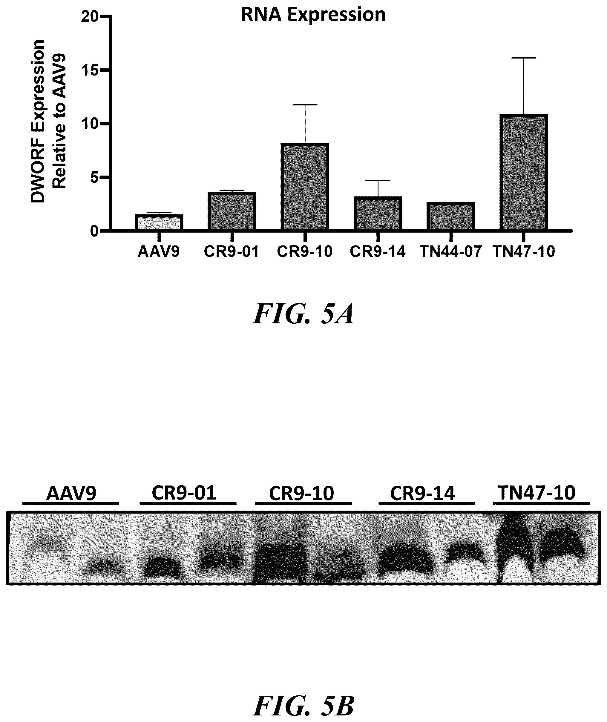 Patent US12564647 Figure 4 – Optimized expression cassettes for gene therapy