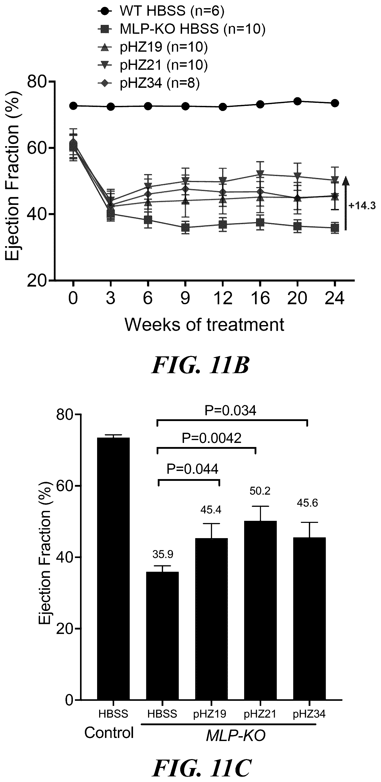 Patent US12564647 Figure 13 – Optimized expression cassettes for gene therapy