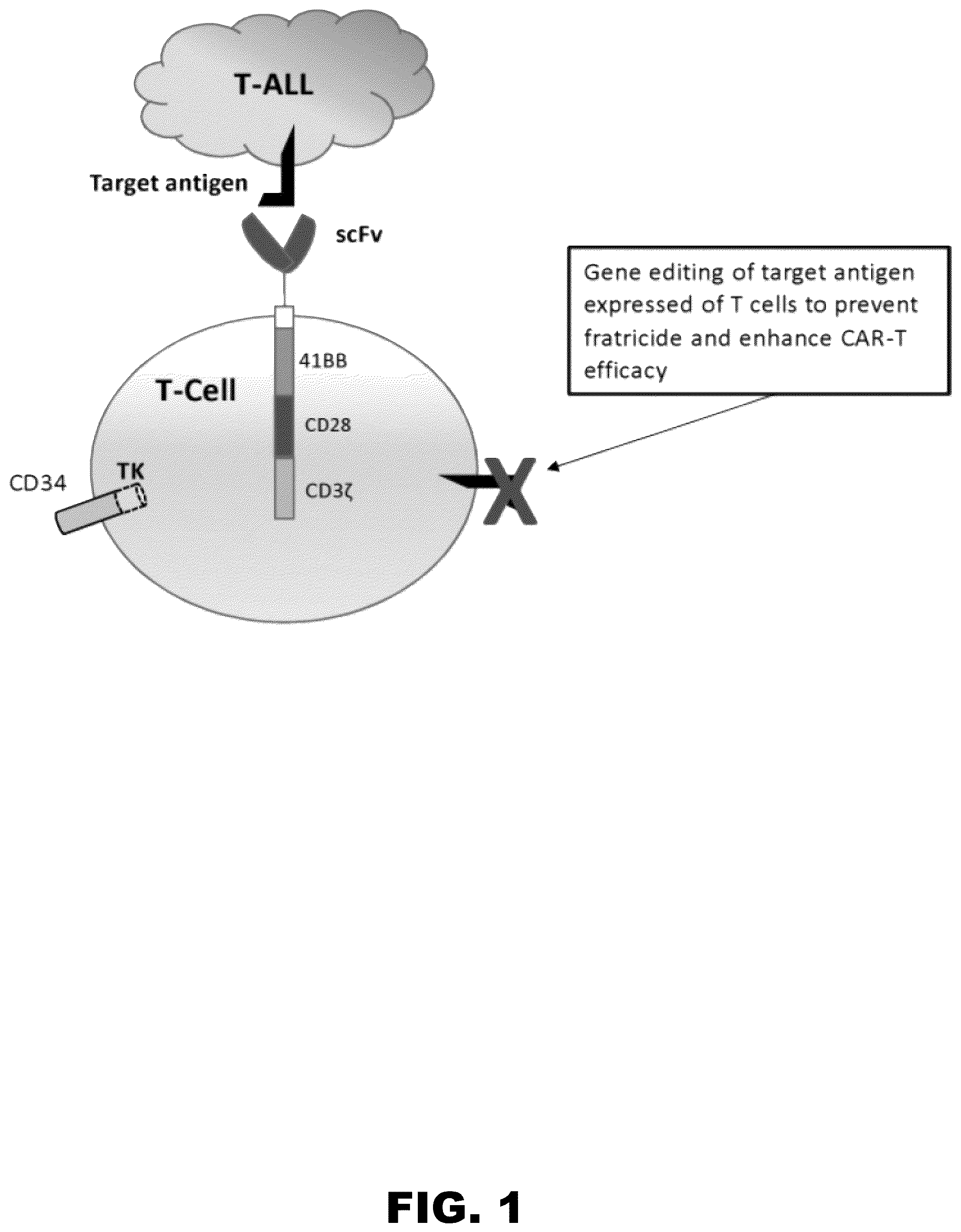 Patent US12564648 Figure 1 – Gene editing of CAR-T cells for the treatment of T cell malignancies with chimeric antigen receptors