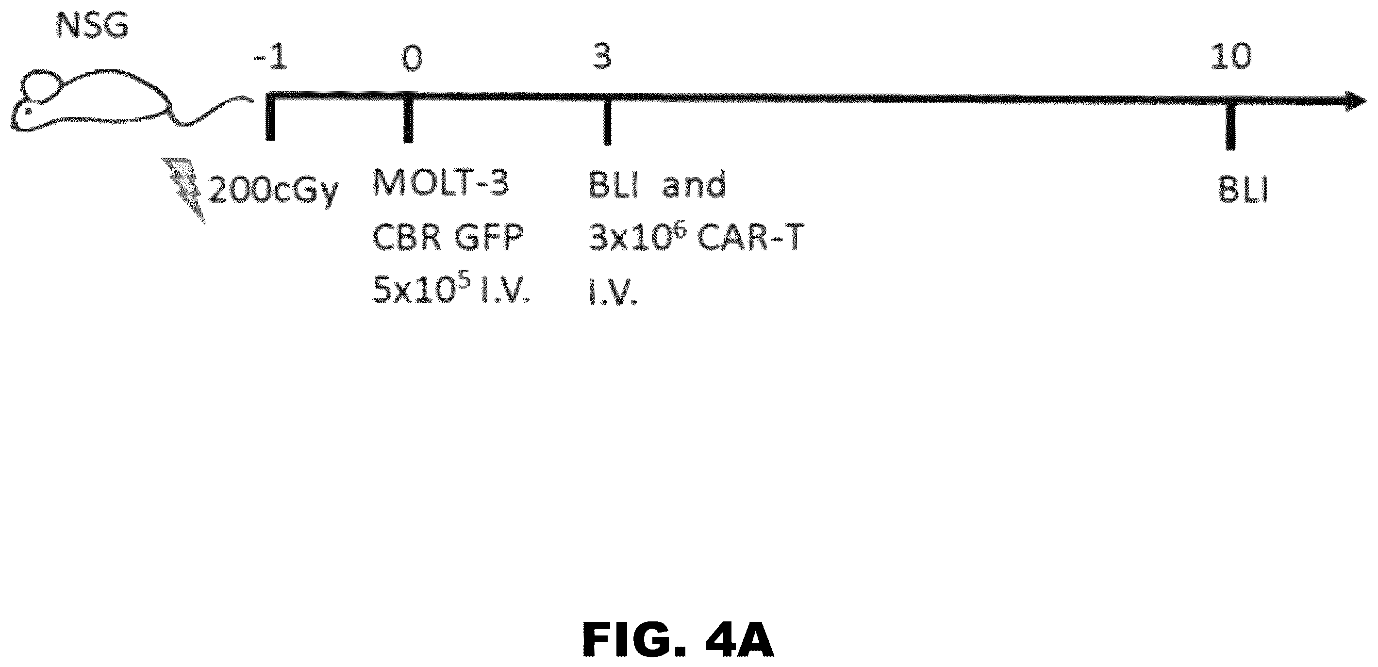 Patent US12564648 Figure 4 – Gene editing of CAR-T cells for the treatment of T cell malignancies with chimeric antigen receptors