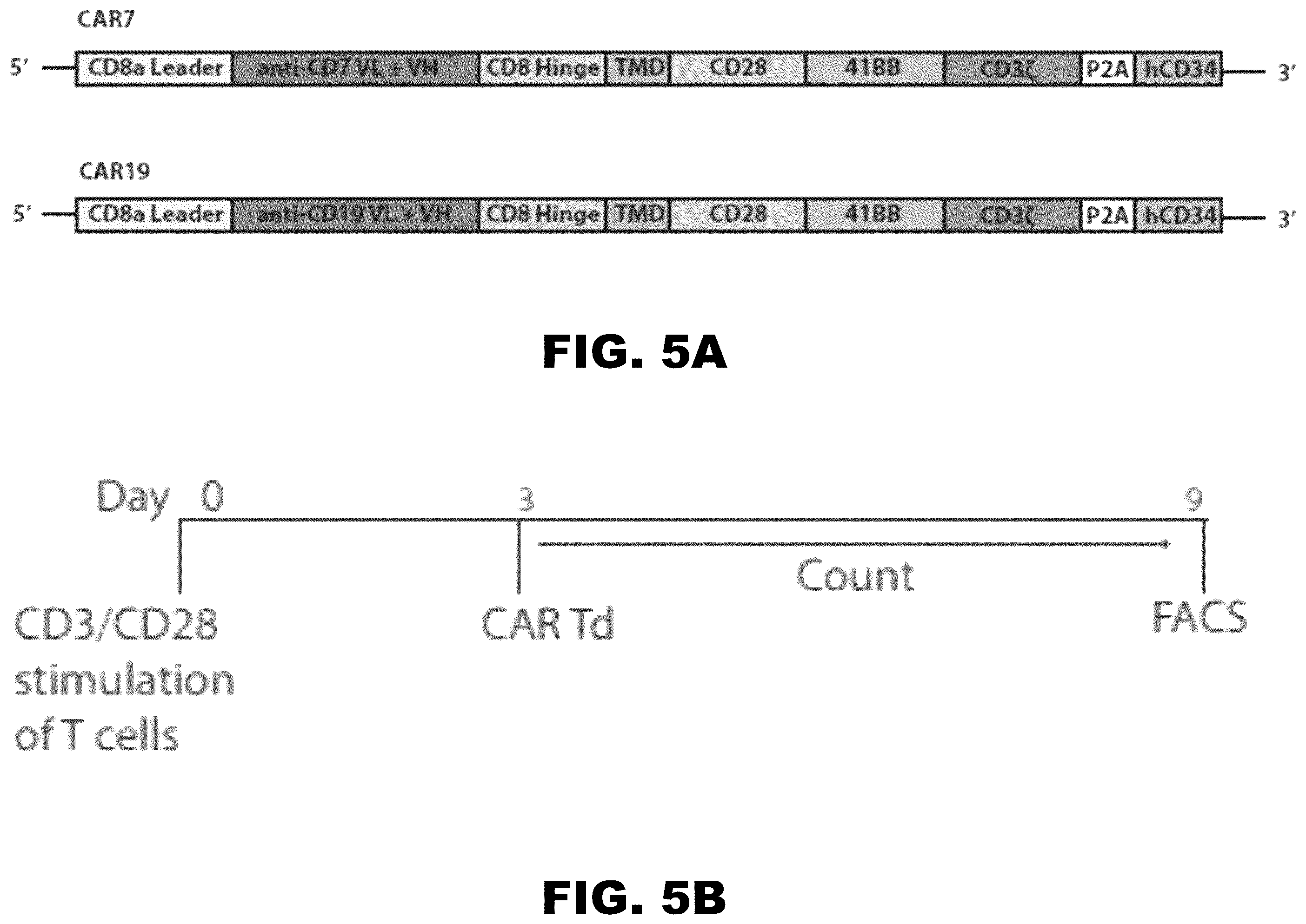 Patent US12564648 Figure 7 – Gene editing of CAR-T cells for the treatment of T cell malignancies with chimeric antigen receptors