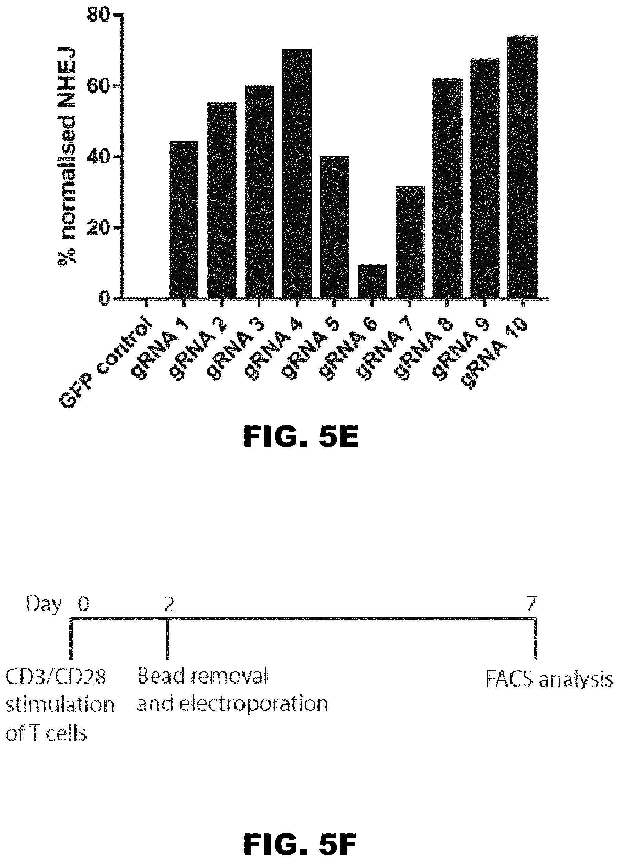 Patent US12564648 Figure 9 – Gene editing of CAR-T cells for the treatment of T cell malignancies with chimeric antigen receptors
